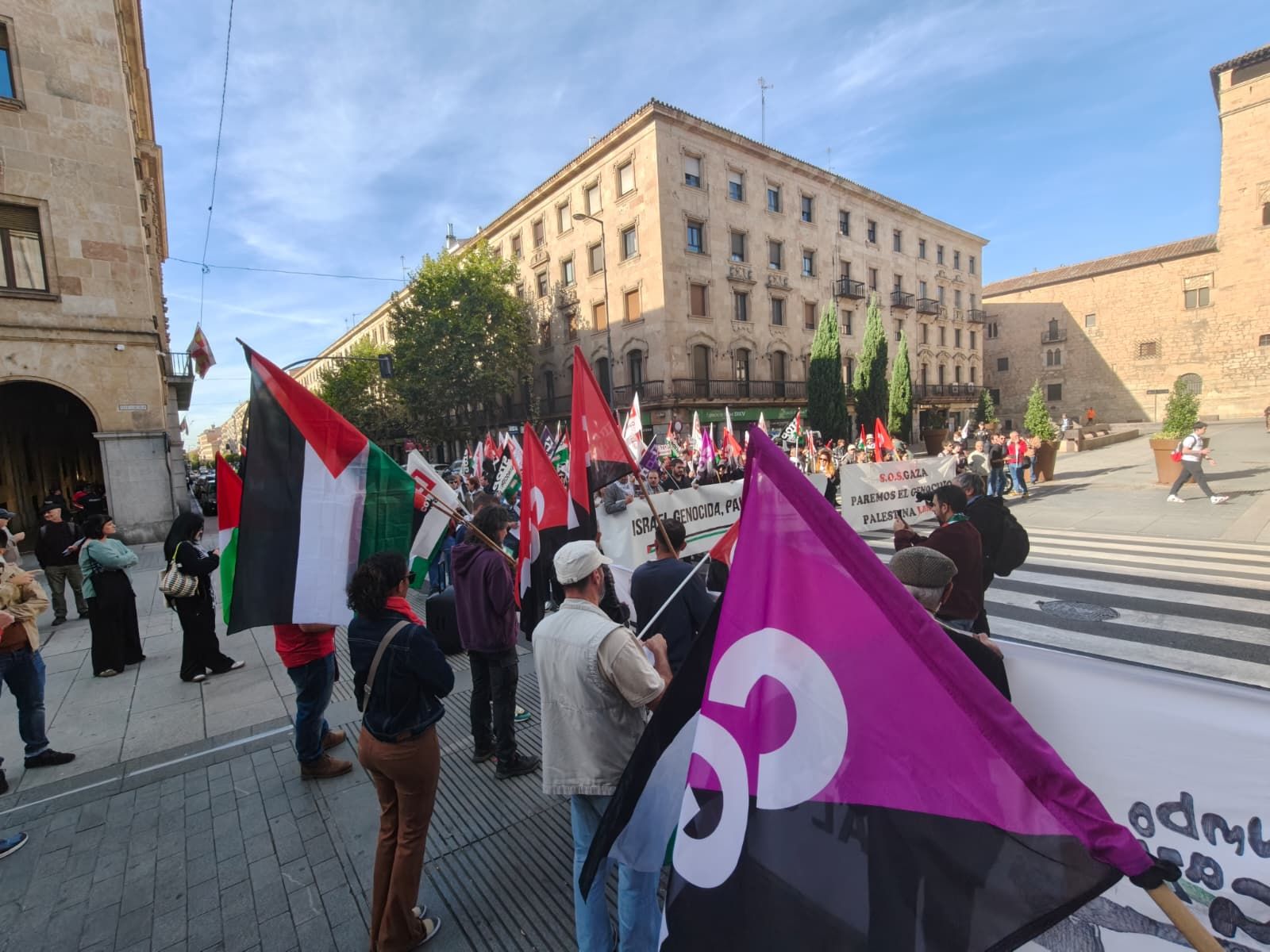 Manifestación por Palestina en Gran Vía