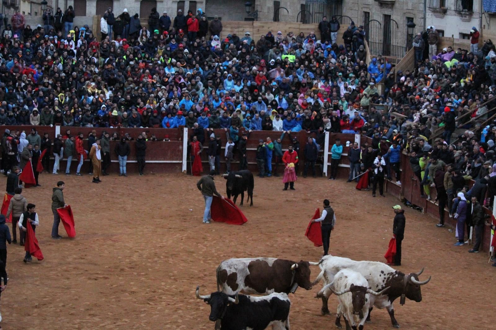 ambiente-y-capea-vespertina-sabado-de-carnaval-en-ciudad-rodrigo-2025-fotos-belen-hurtado-20