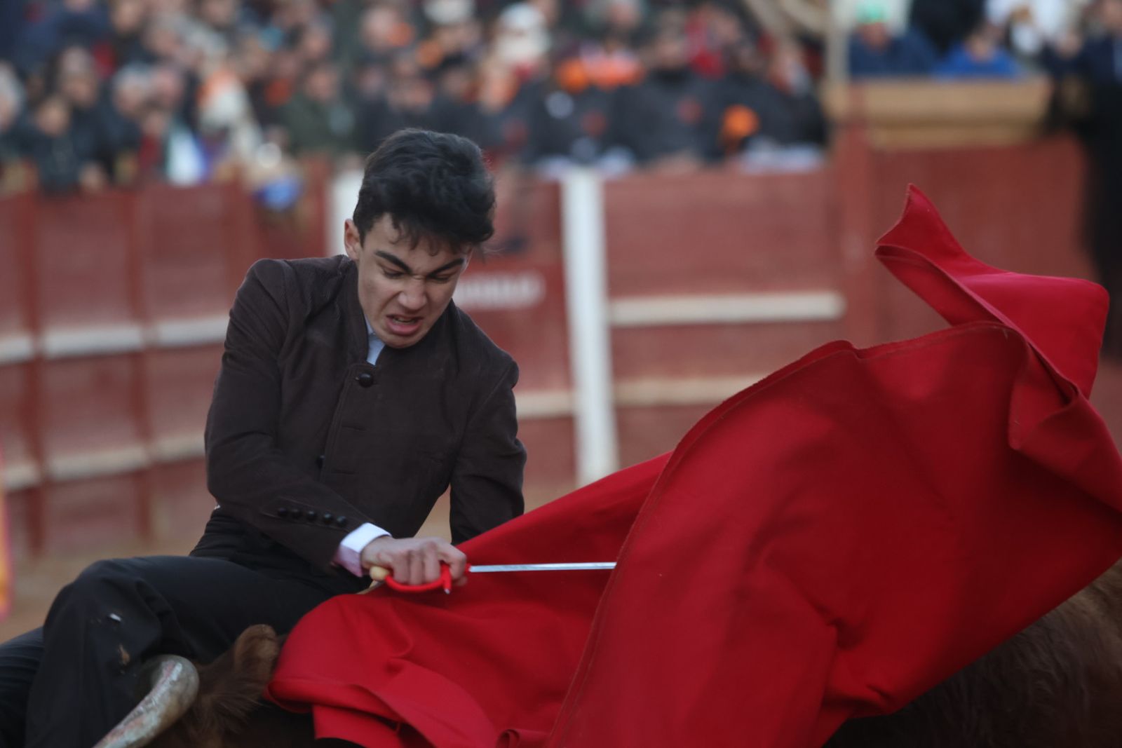 Festival taurino del Sábado en el Carnaval del Toro 2026 de Ciudad Rodrigo