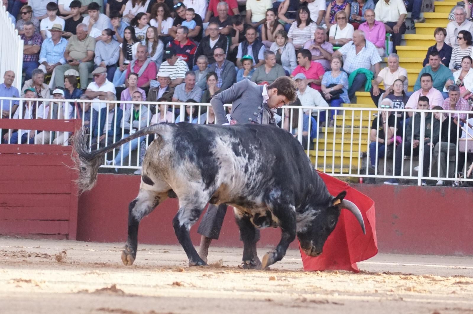 whatsapp-image-2024-09-07-at-20-48-36-3