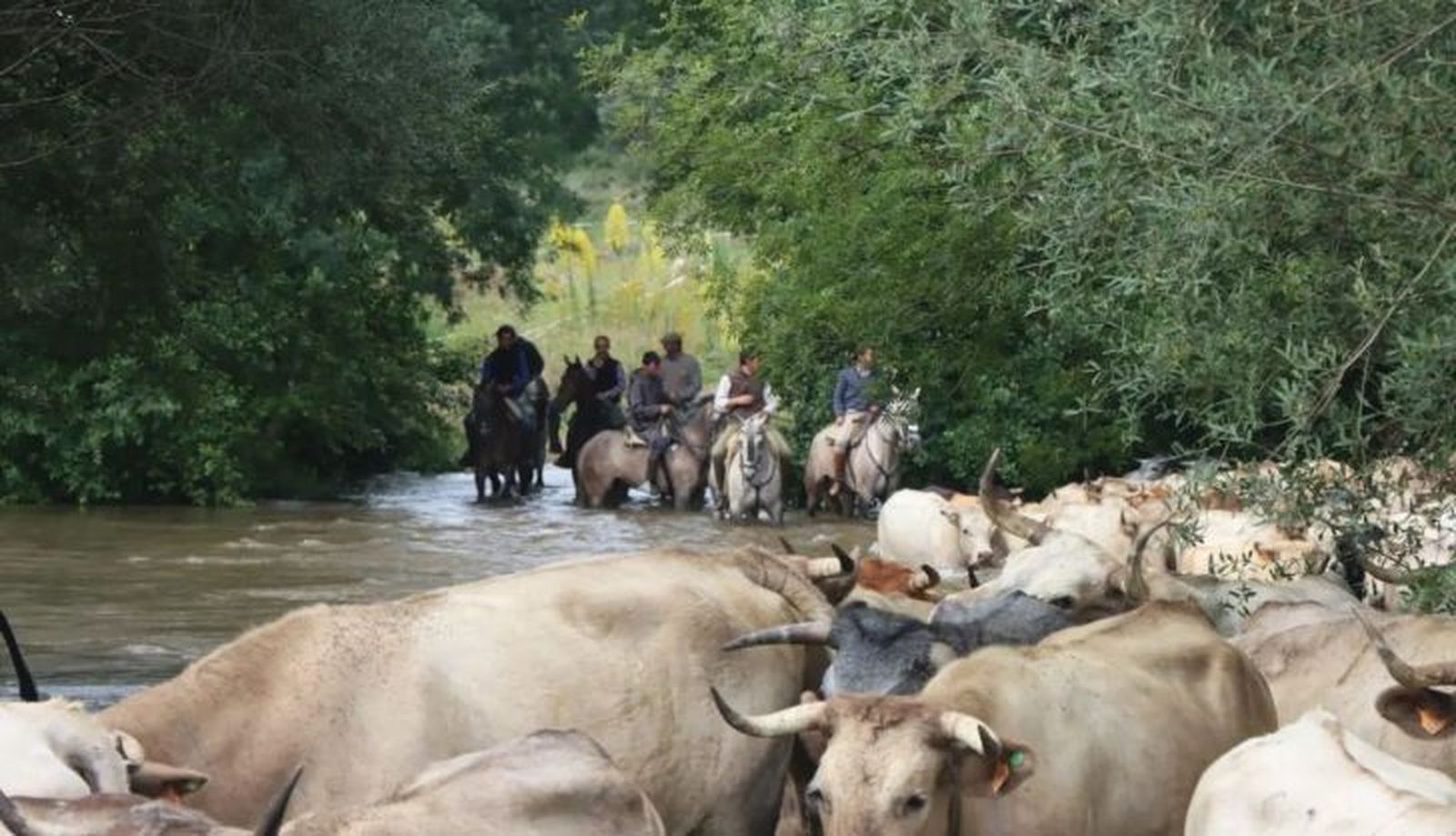 WhatsApp Image 2023 11 24 at 10.56.18 (2)