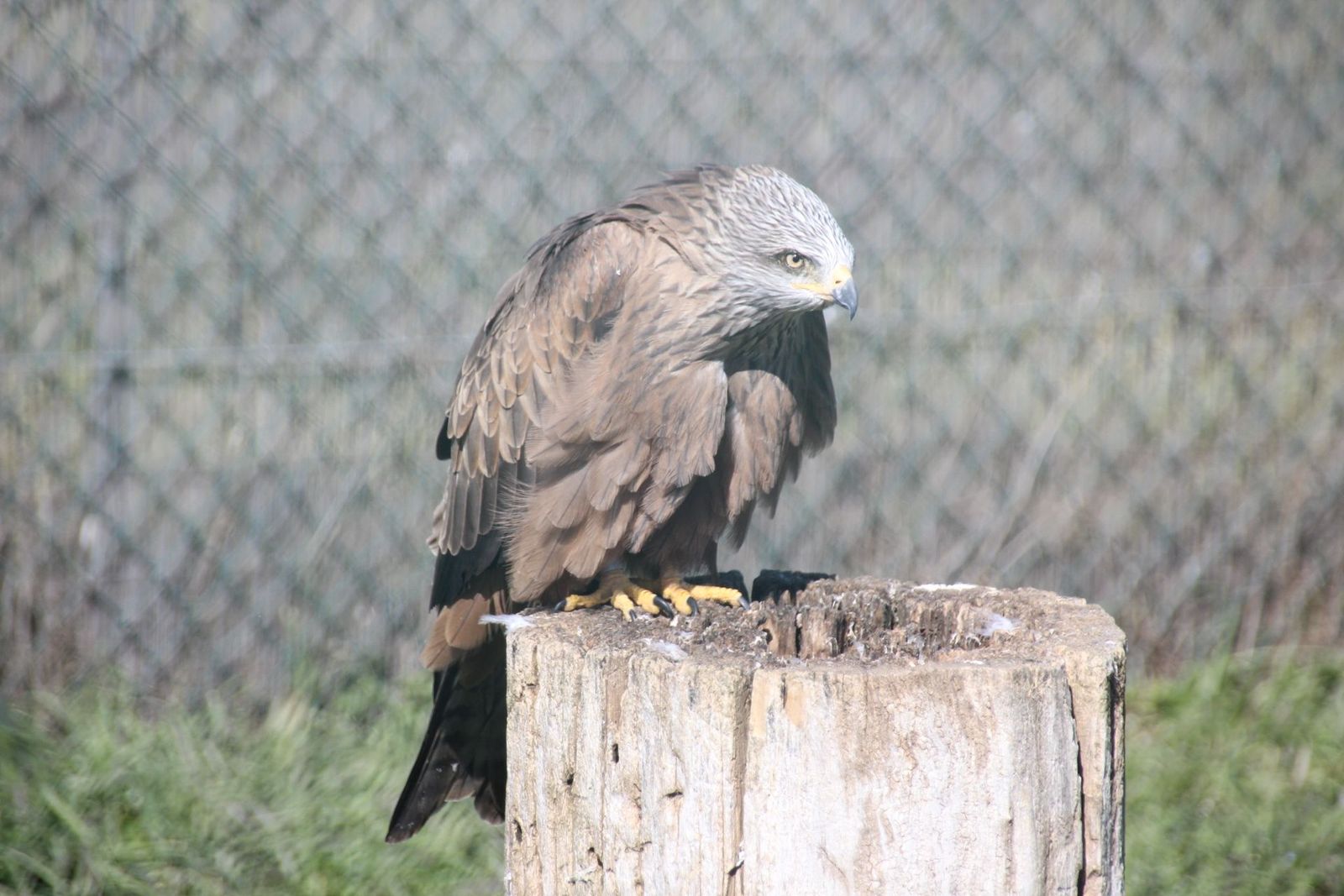 20230304152525-img-1682