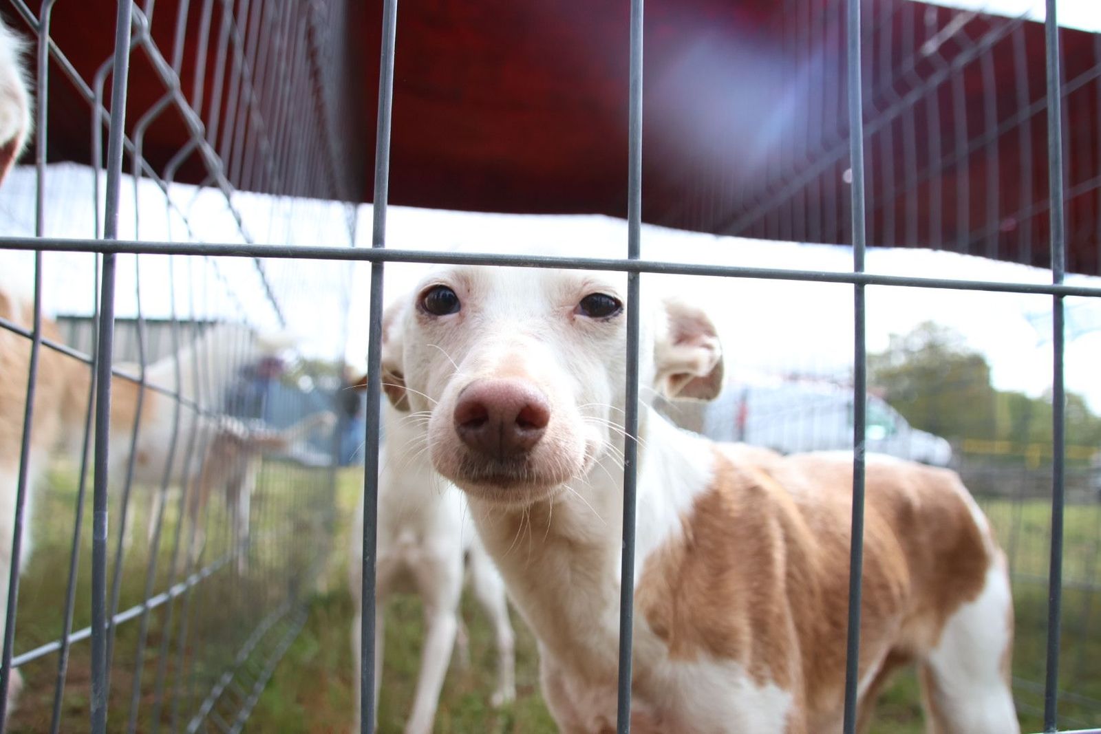 20240501104131-img-2958