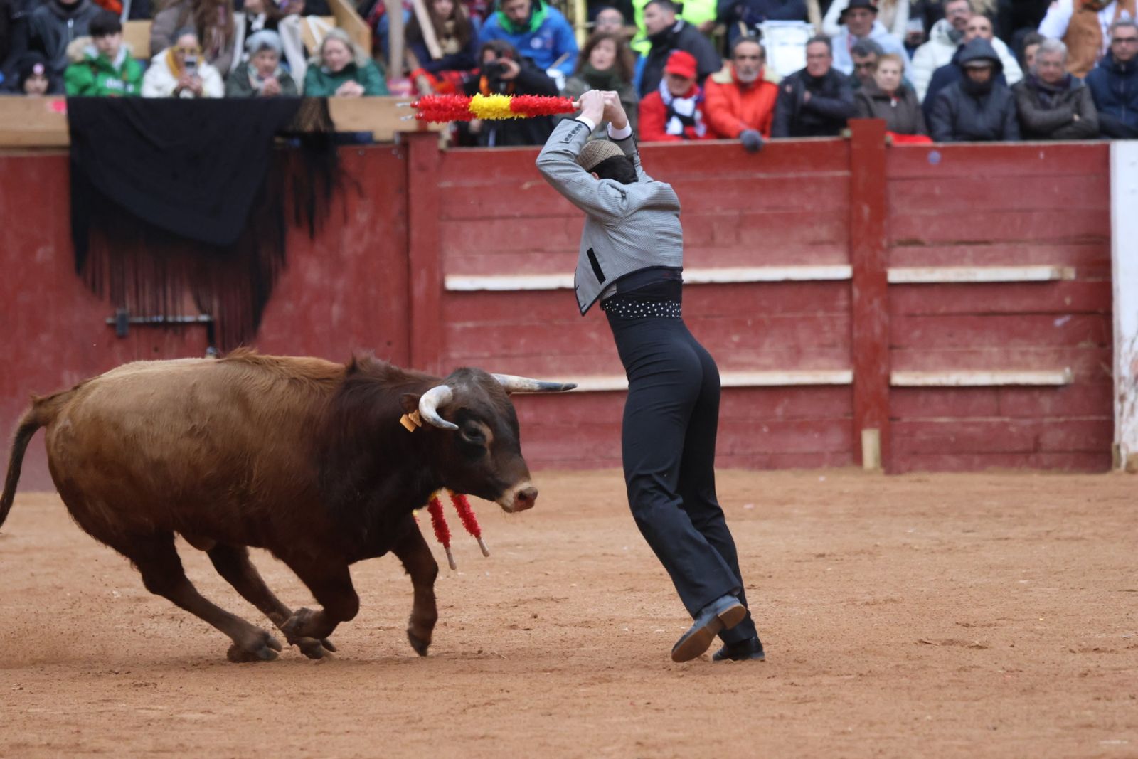 Novillada sin picadores del bolsín taurino y rejones en Ciudad Rodrigo