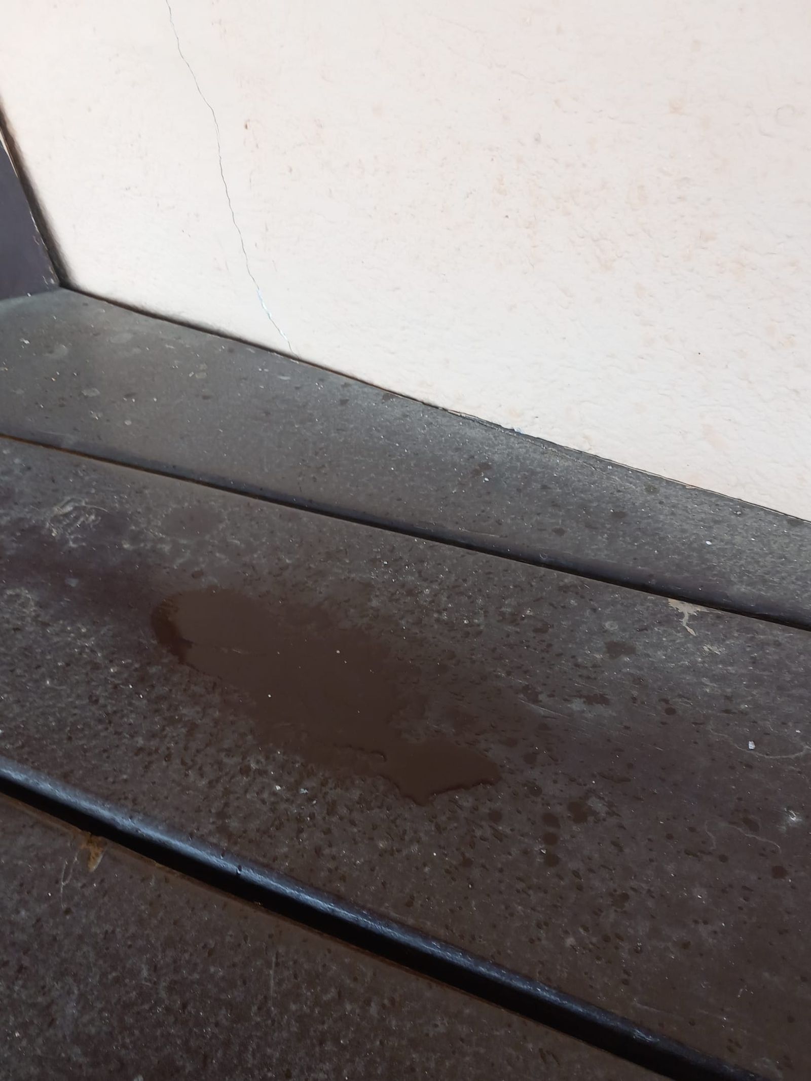 Plaza de Toros La Ancianita de Béjar  (30).jpeg