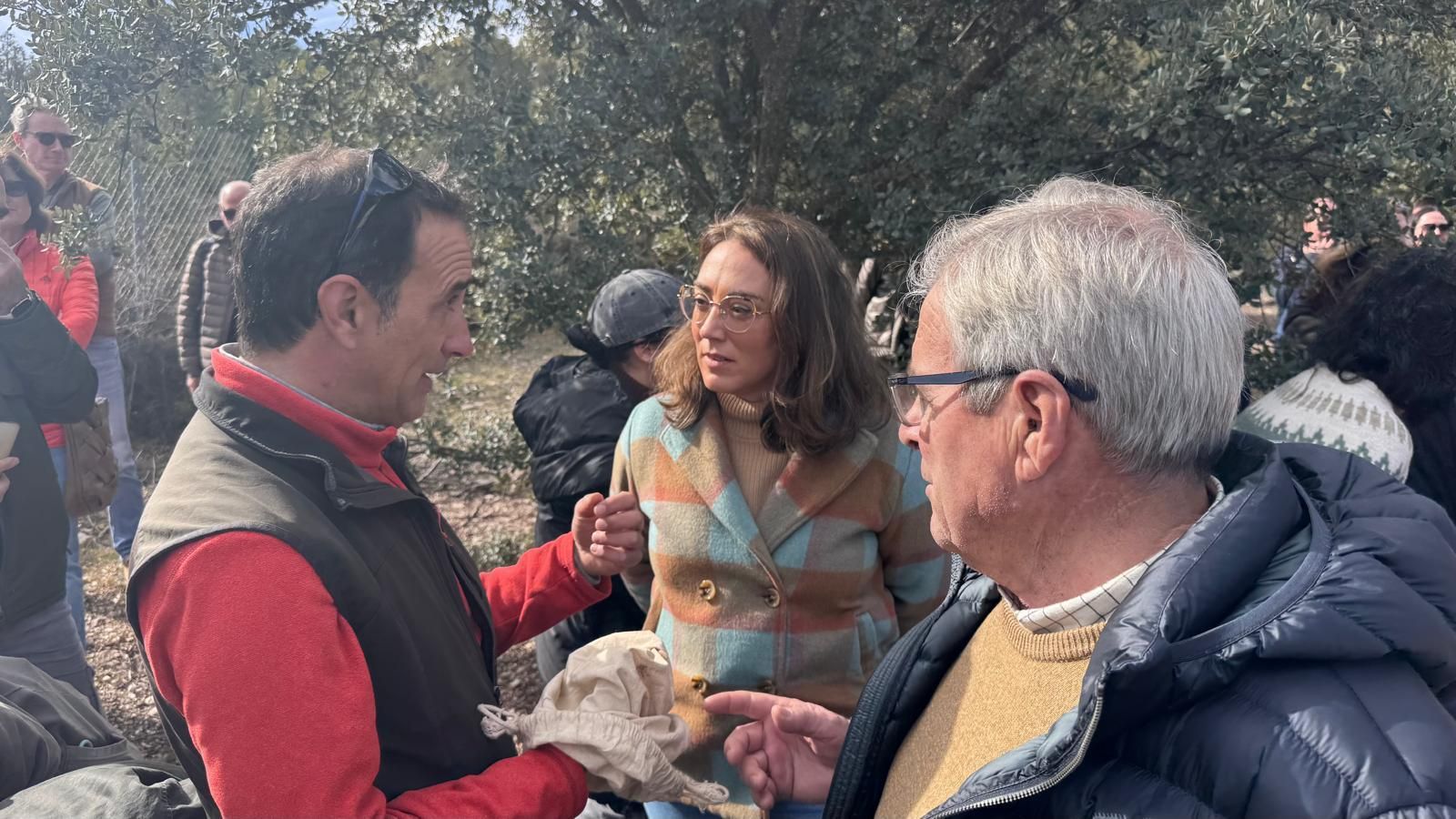 XXII Feria de Abejar