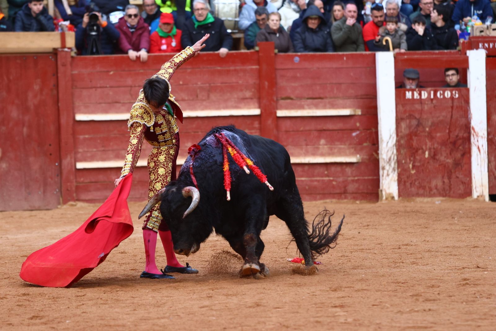 Novillada con picadores de lunes en el Carnaval del Toro de Ciudad Rodrigo 2026