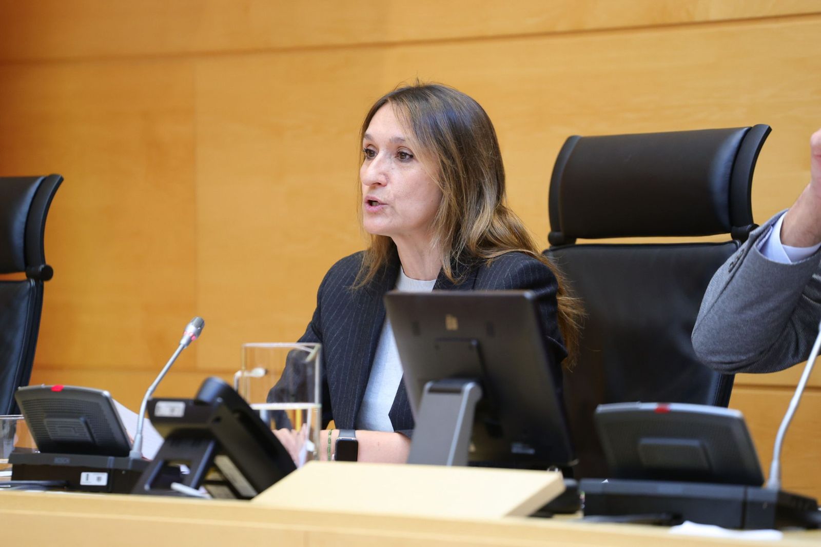 Comparecencia de Rocío Lucas