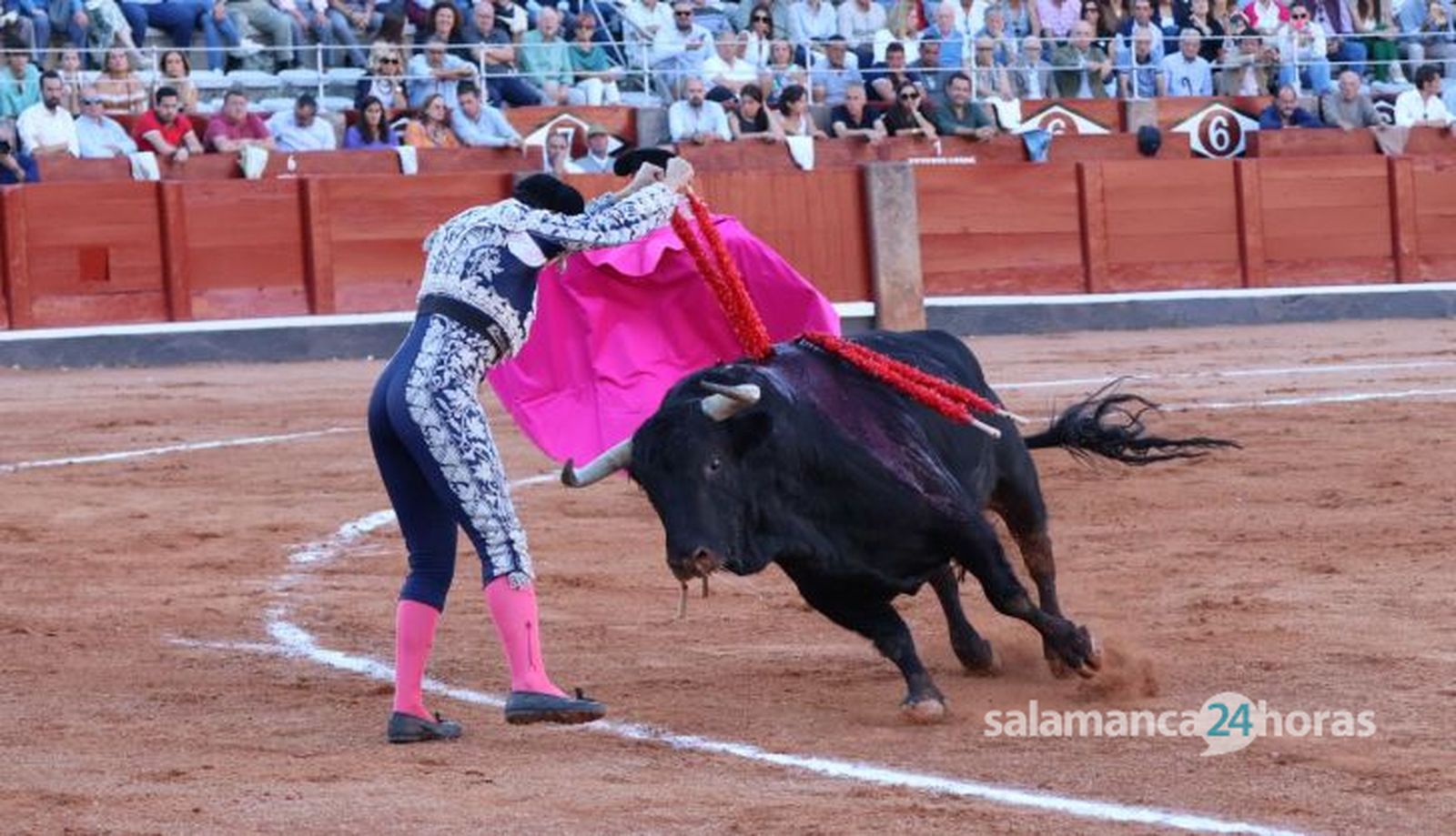 Corrida de El Vellosino: momentos más destacados del tercer festejo de abono de la Feria Taurina Virgen de la Vega 2024. Fotos Andrea M.
