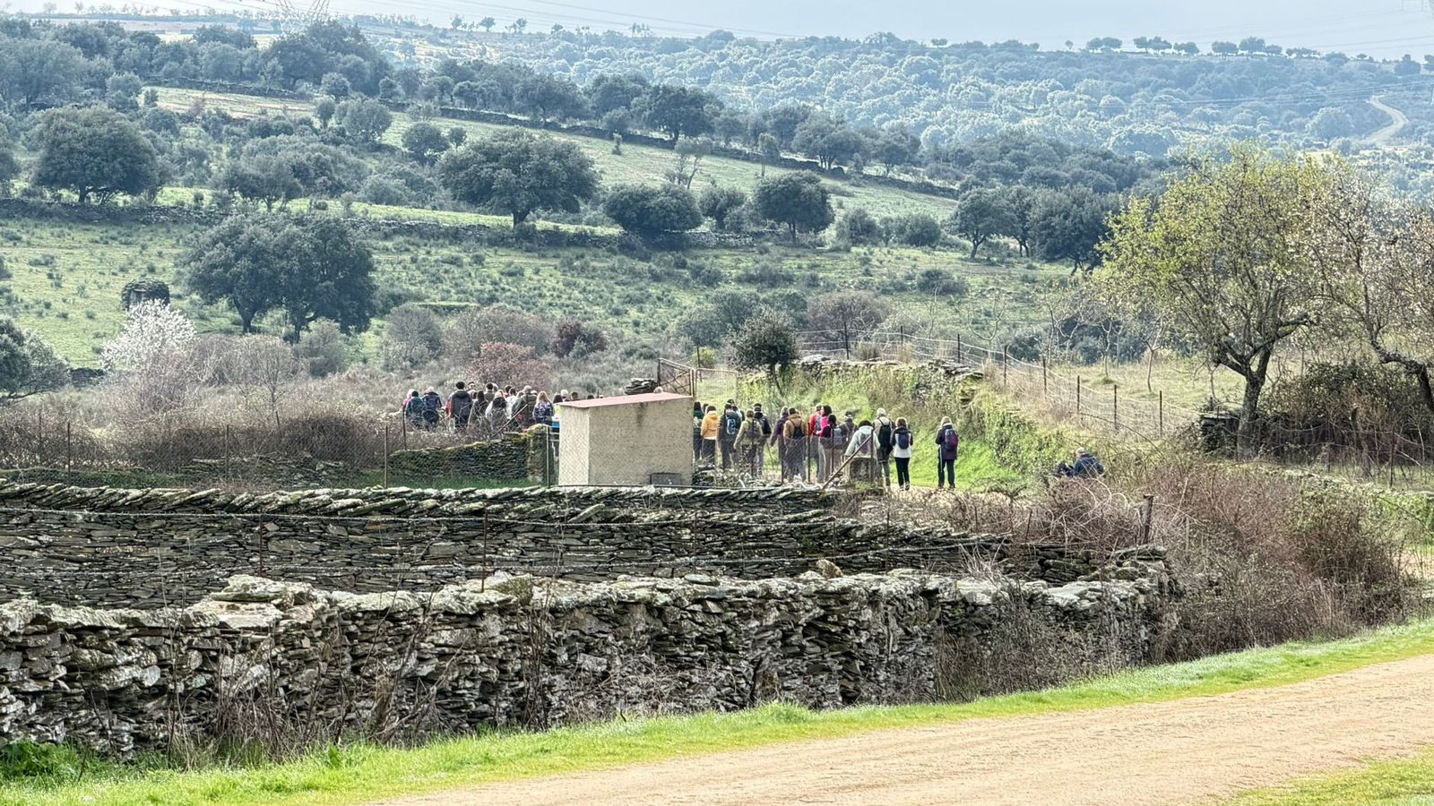 Marcha senderista en Vilvestre