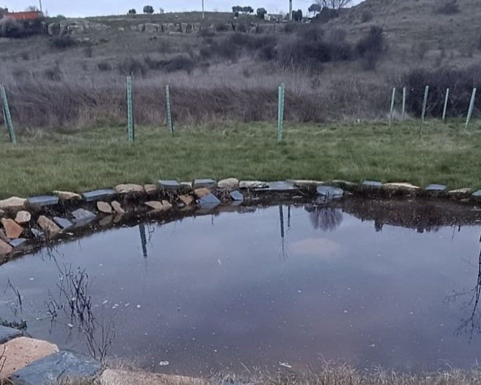 Charca antiguo vertedero la Hiniesta