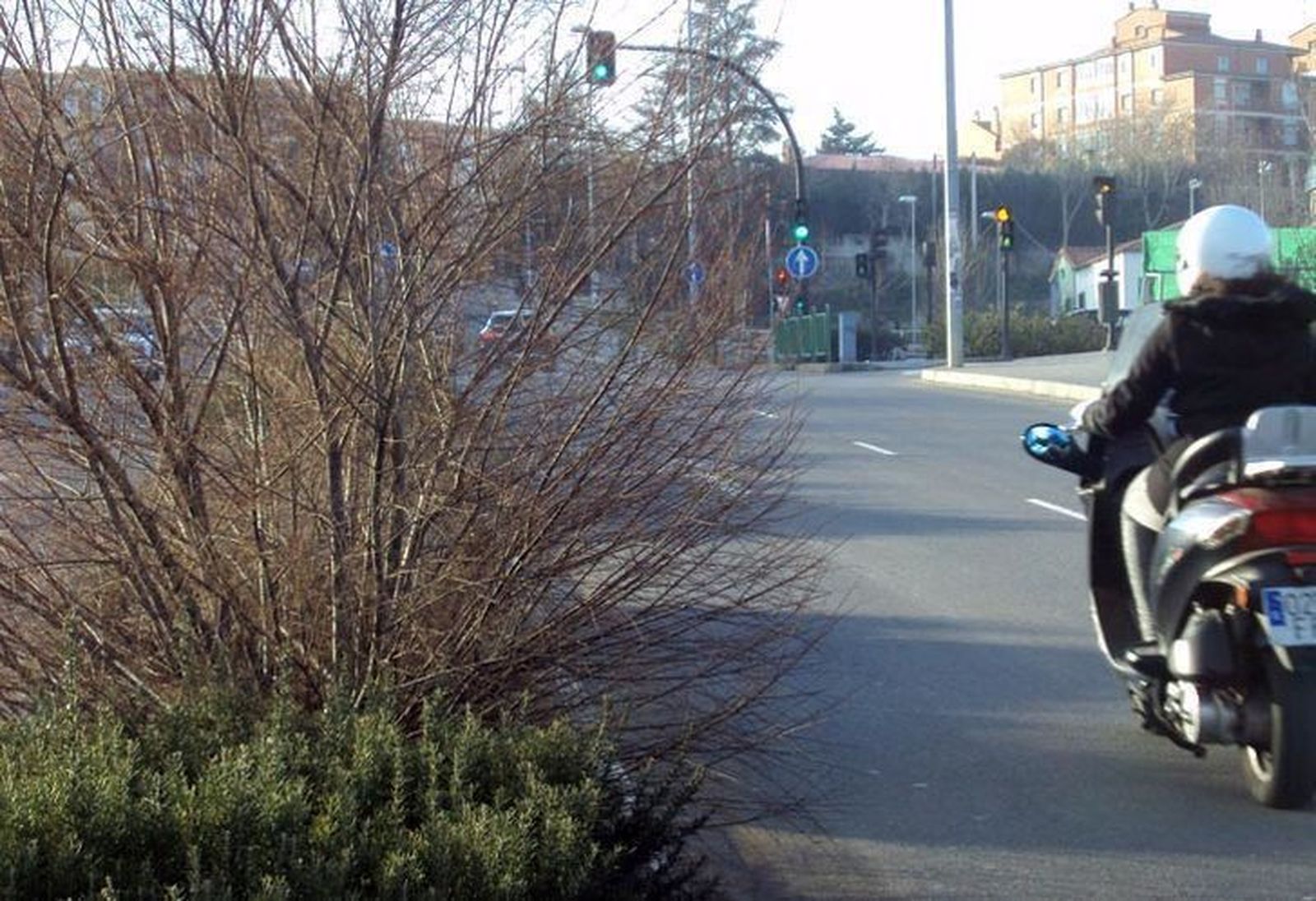 Ciudadanos denuncia la falta de limpieza de la mediana en la Cuesta del Bolón