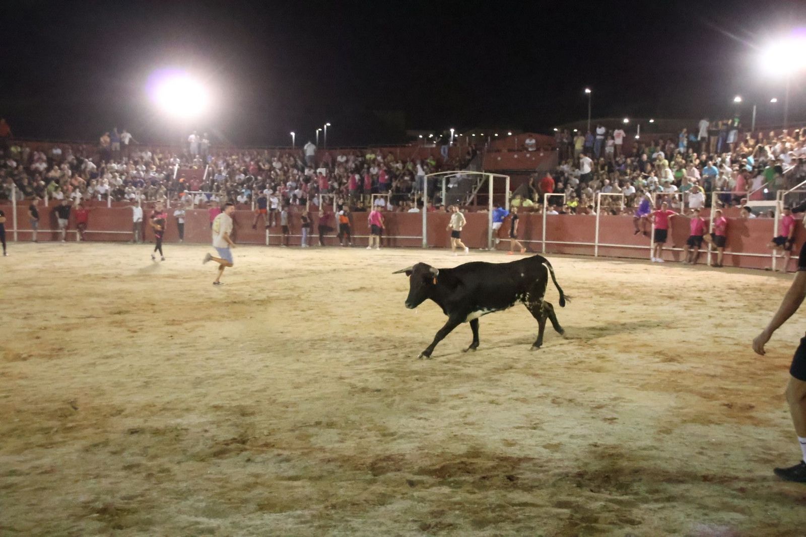 20230814221718-img-2303