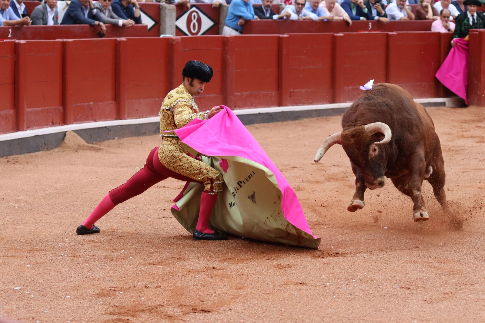Ismael Martín, Marco Pérez y el aclamado regreso de Morante de la Puebla: su paso por La Glorieta en imágenes