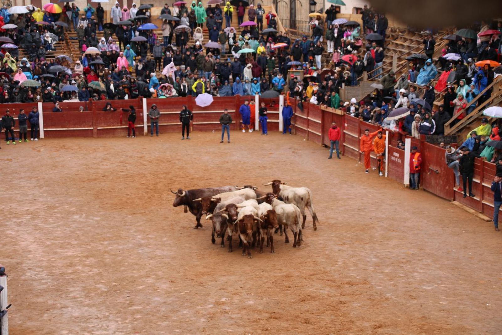 whatsapp-image-2024-02-11-at-13-23-44-1