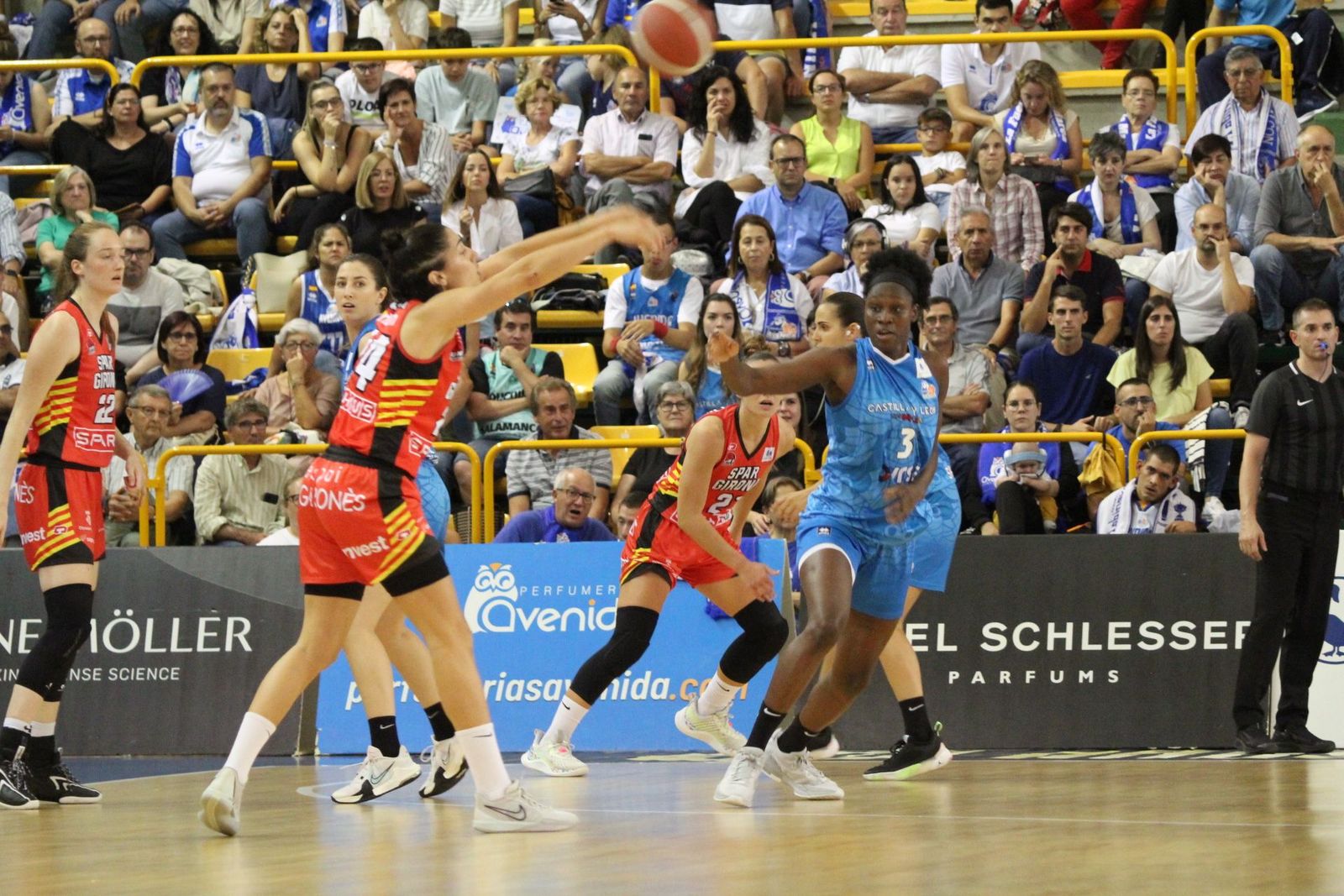 20231014191051-img-3165