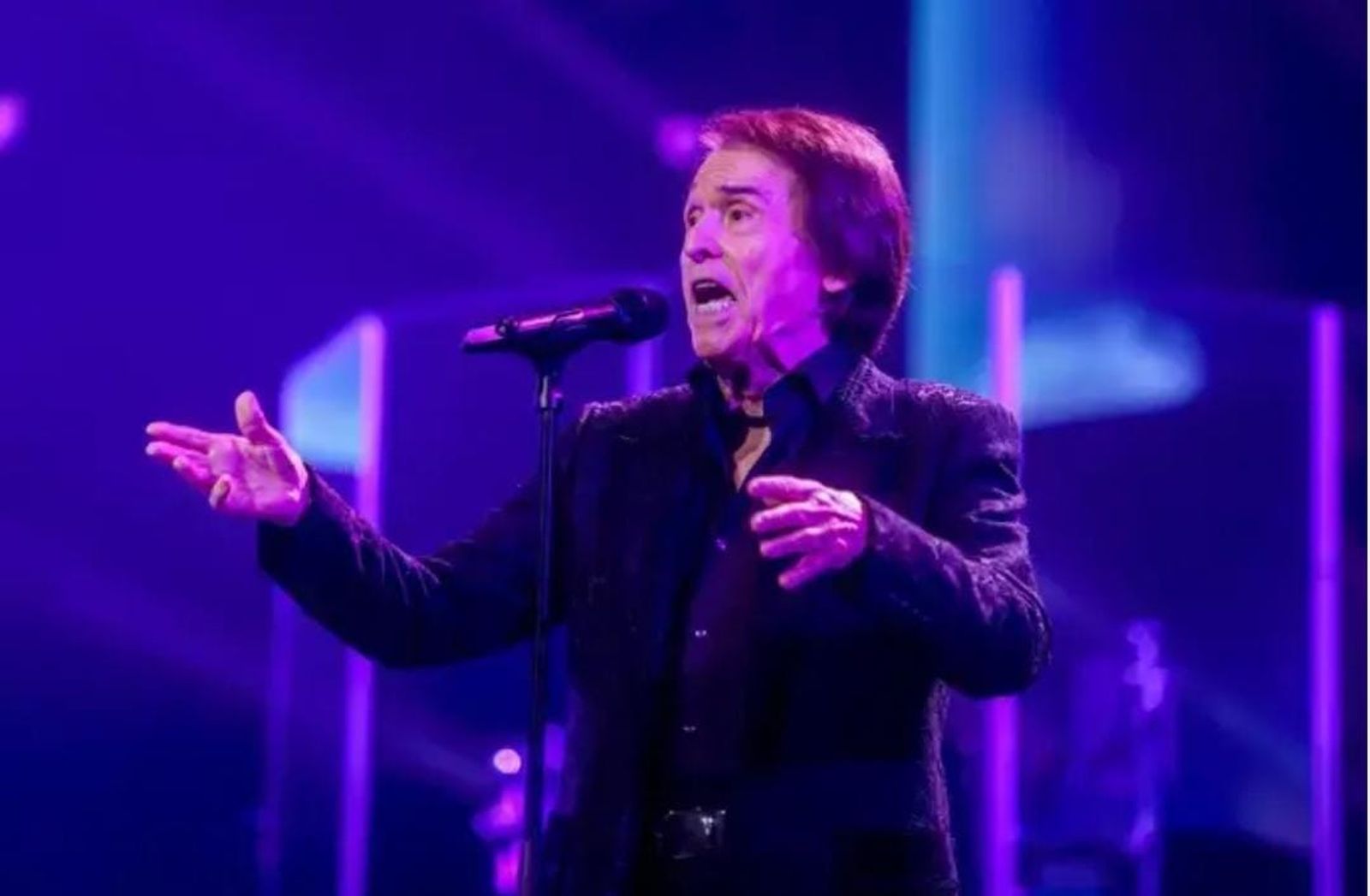 Raphael en concierto. Ricardo Rubio. Europa Press