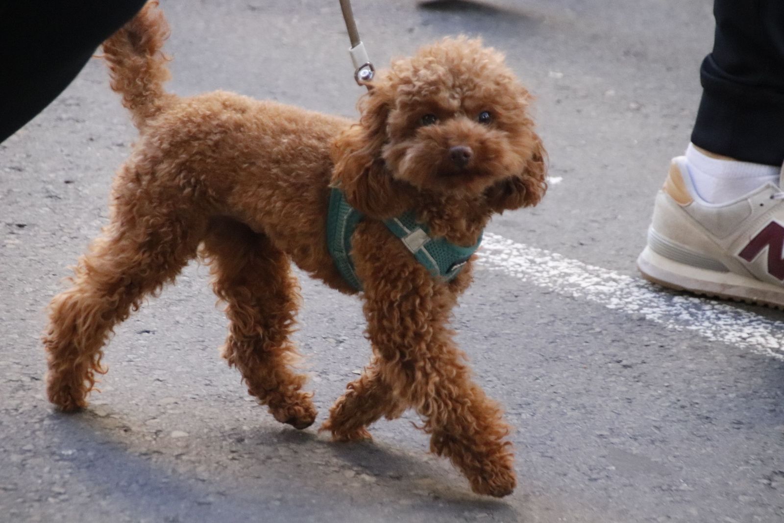 20221023111546-mg-6981