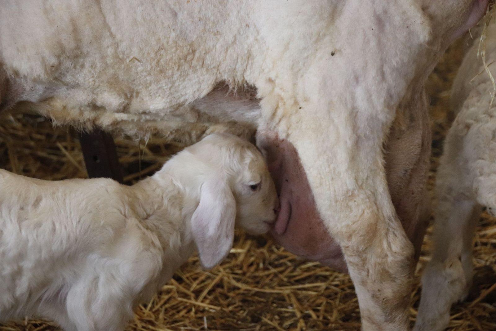 20220520102528-mg-8459