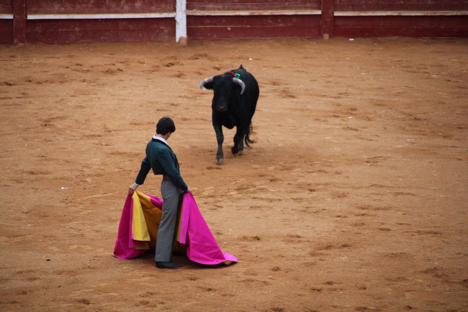 whatsapp-image-2025-03-02-at-18-54-04