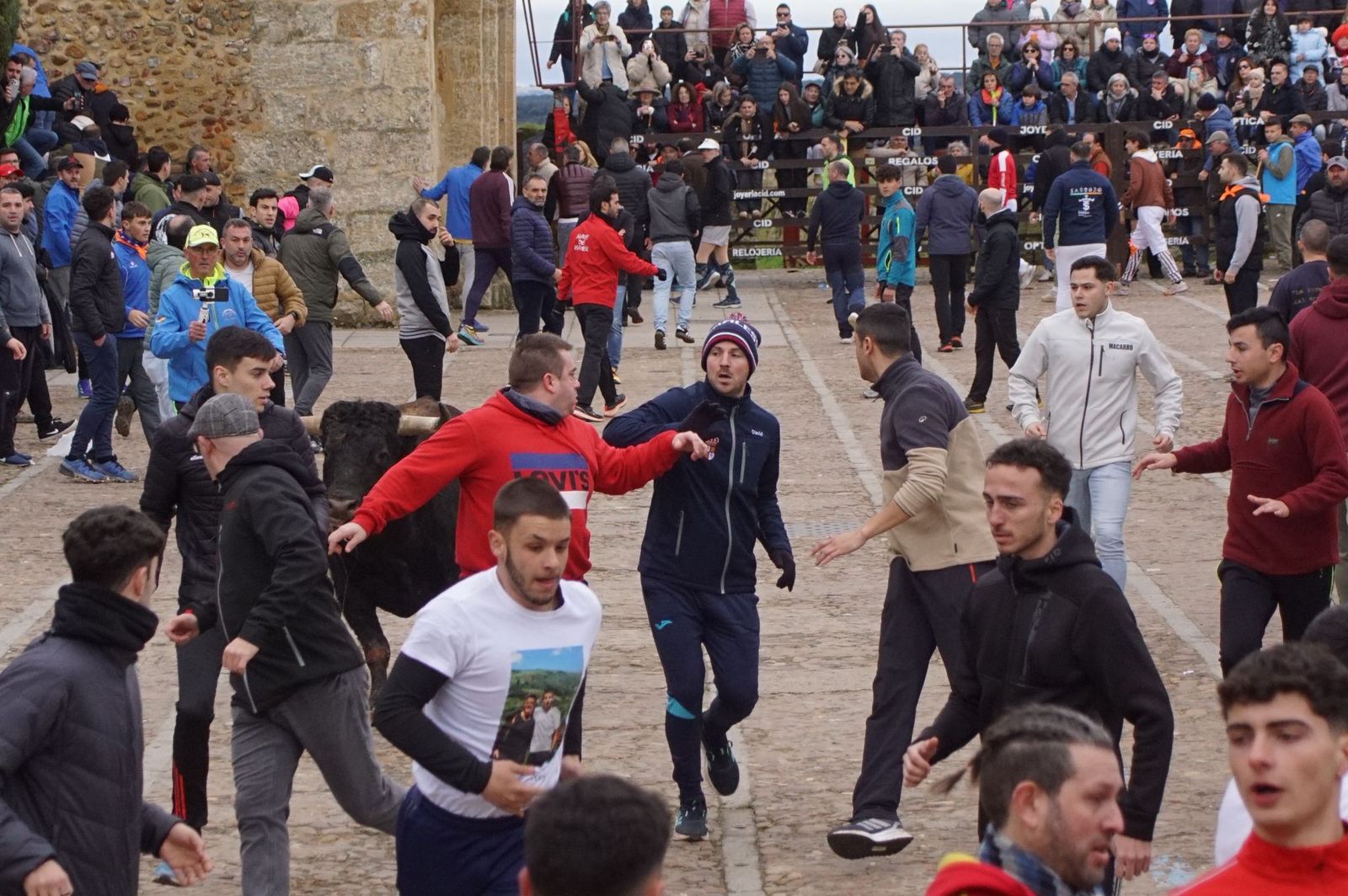 El encierro de Lunes de Carnaval en Ciudad Rodrigo en imágenes