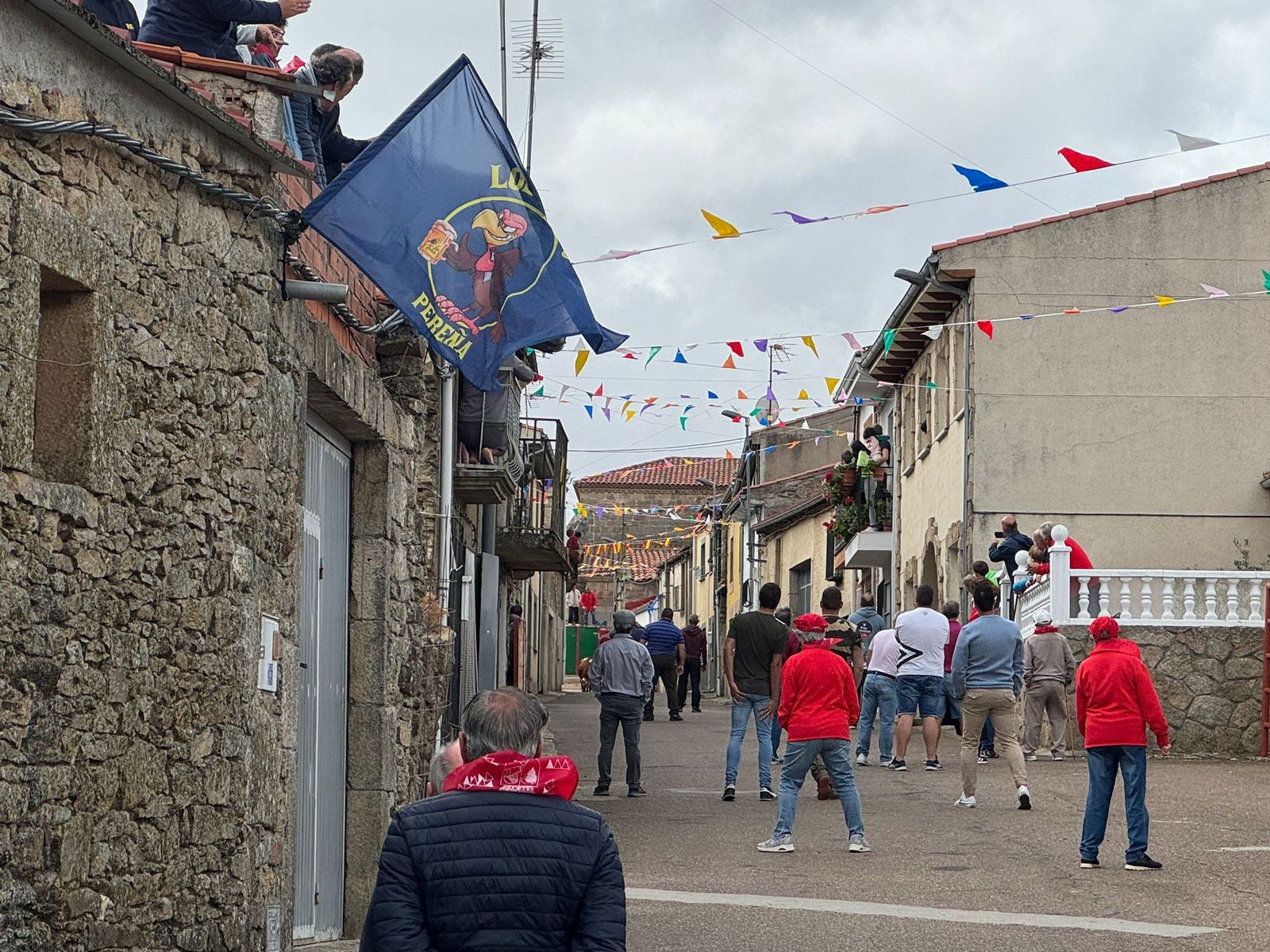 Segundo encierro con novillos de Valdeflores en Pereña de la Ribera