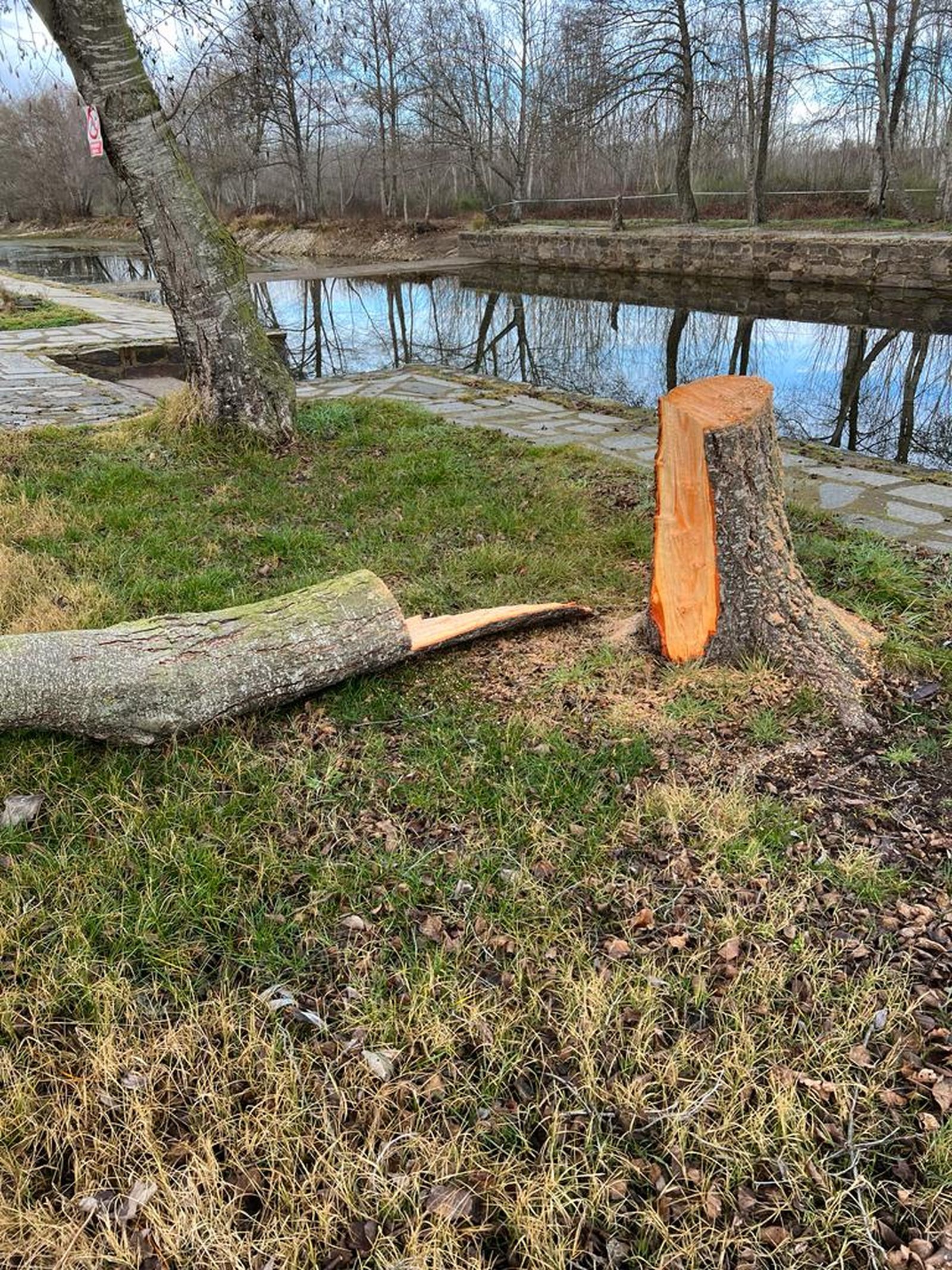 whatsapp-image-2024-01-04-at-13-16-42-1