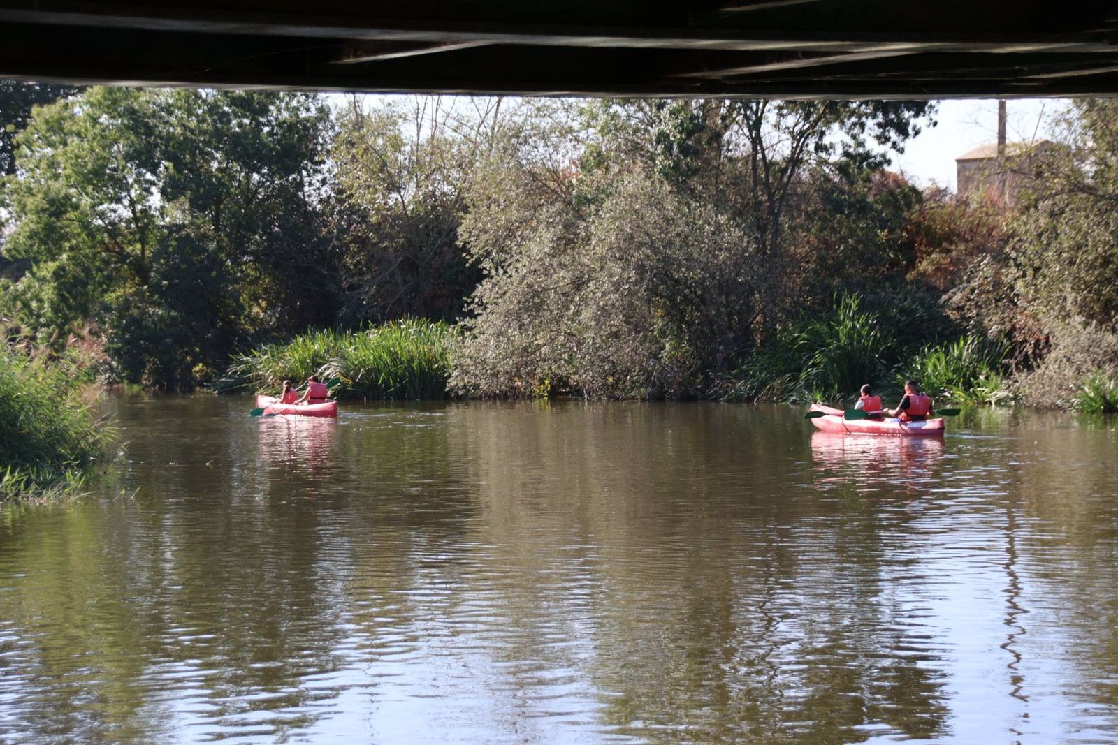 20230813092147-img-1339