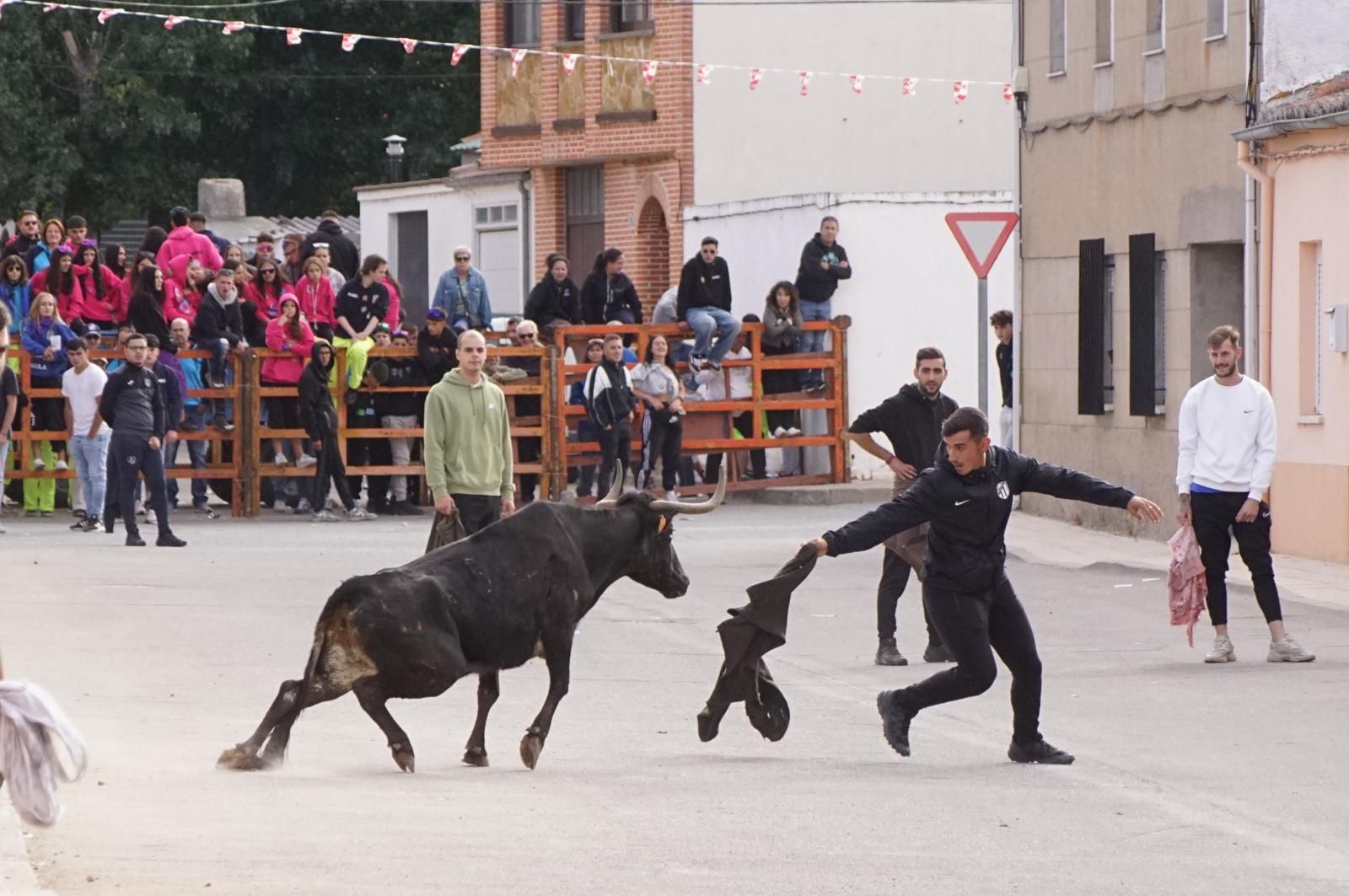 whatsapp-image-2024-09-08-at-14-04-58-2