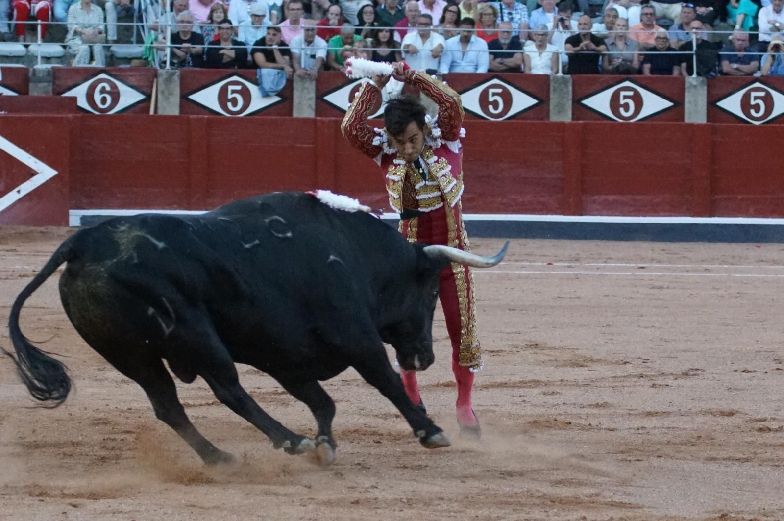 Presencia salmantina por partida doble en la primera corrida de la feria: Damián Castaño e Ismael Martín junto al mexicano Diego San Román