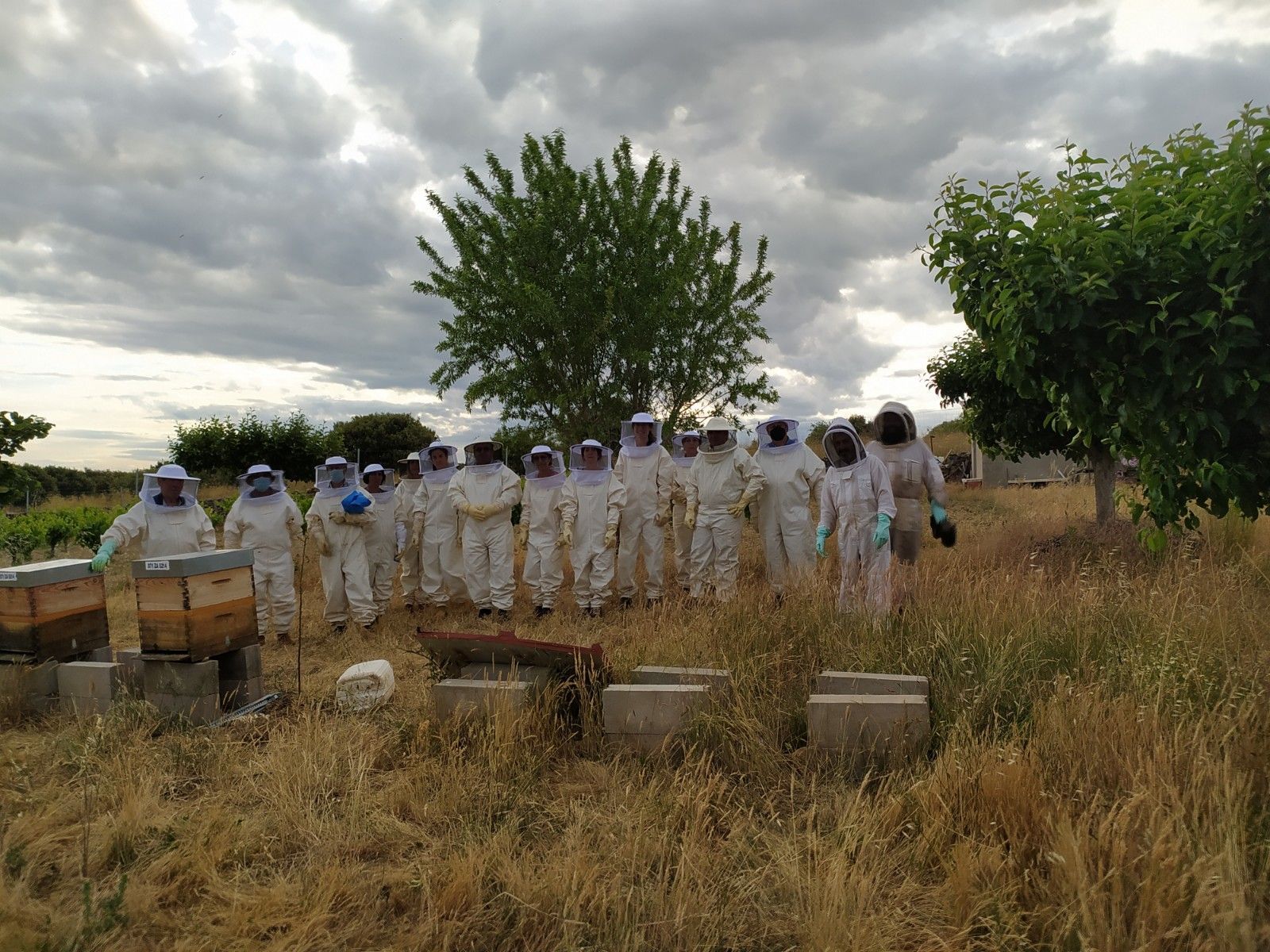 Curso práctico de apicultura organizado por la Diputación