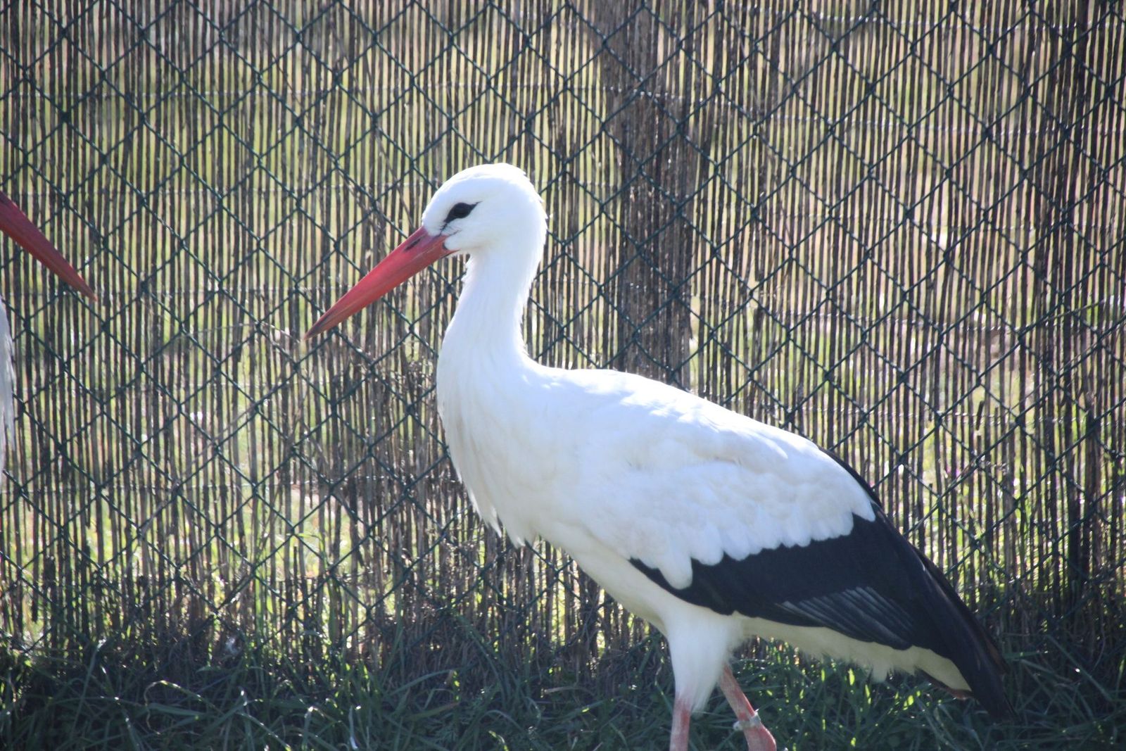 20230304151428-img-1650