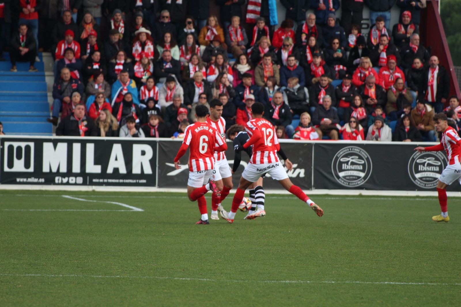 20231206175638-img-6836