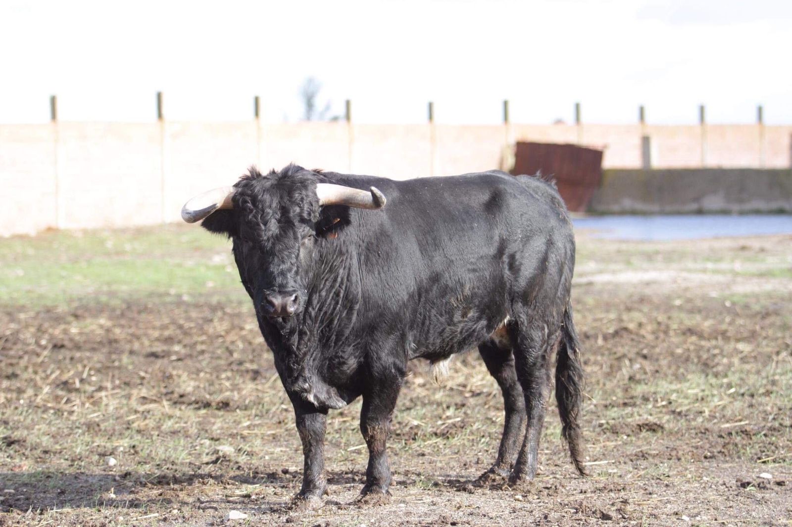 4251ed4f 2b0d 47de 877c ae808ca55e0e