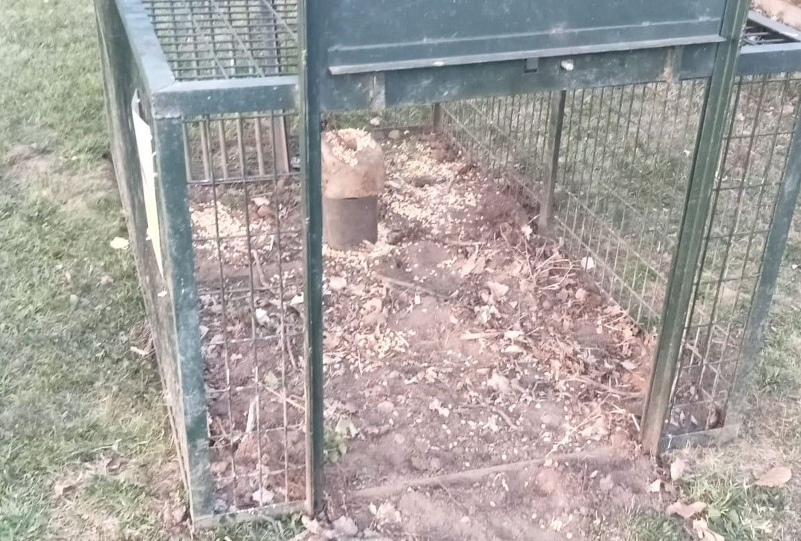 Una de las jaulas instaladas para capturar los jabalíes de Salas Bajas en un proceso anterior