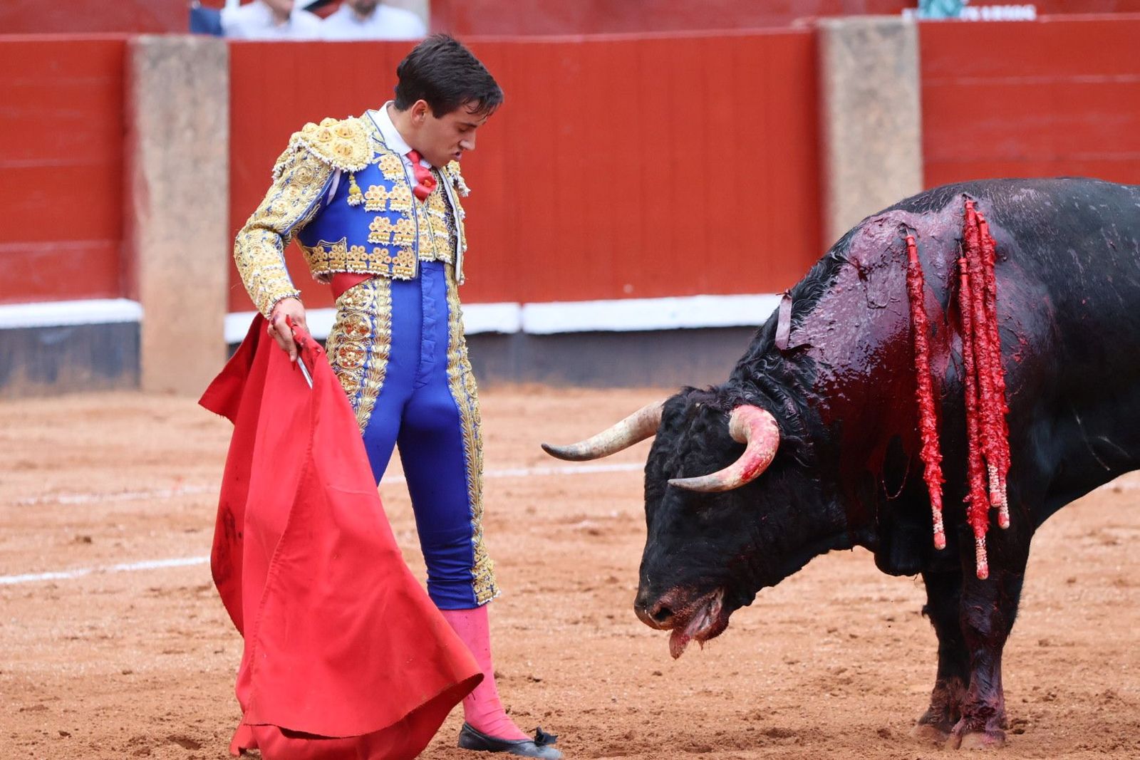 20230915174819-img-3999