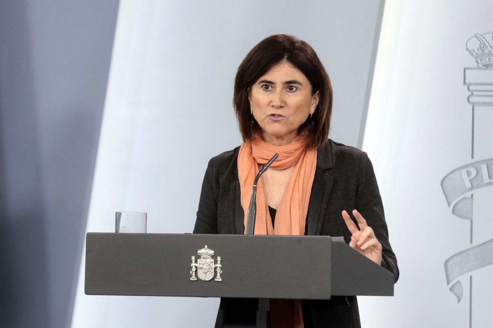 La jefa de Área del Centro de Coordinación de Alertas y Emergencias Sanitarias del Ministerio de Sanidad, María José Sierra, durante una rueda de prensa tras la reunión del Comité de Gestión T