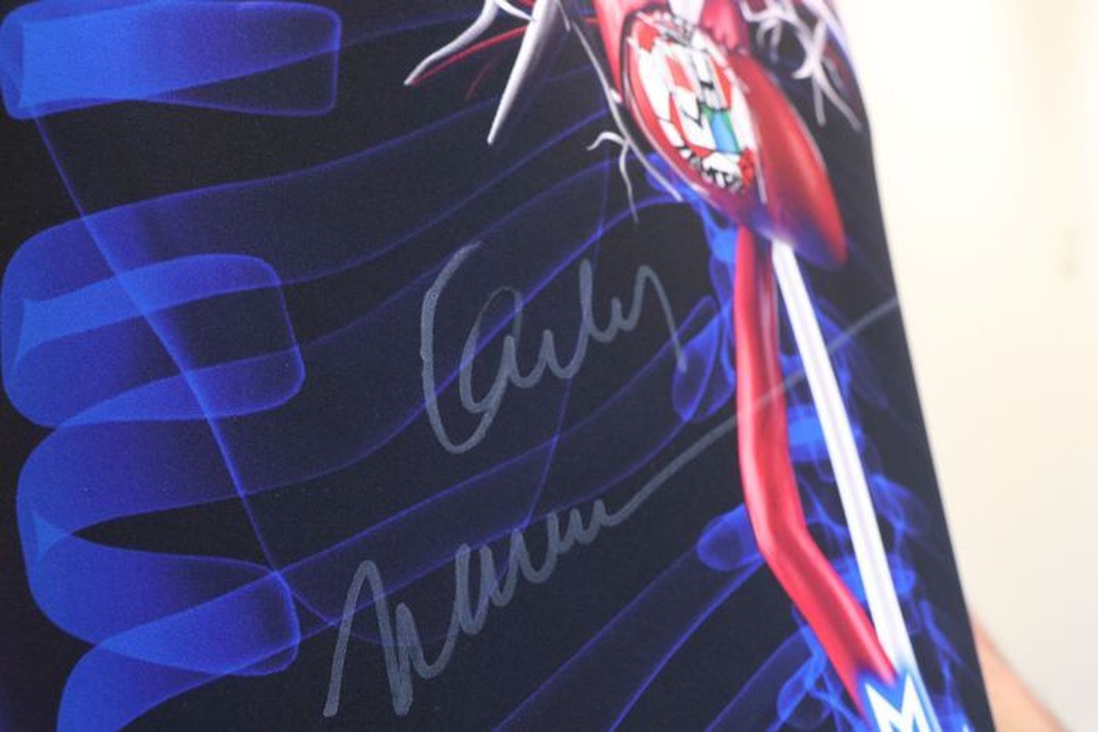 5c6411d9 72b9 401a 836d 21f025c09d80