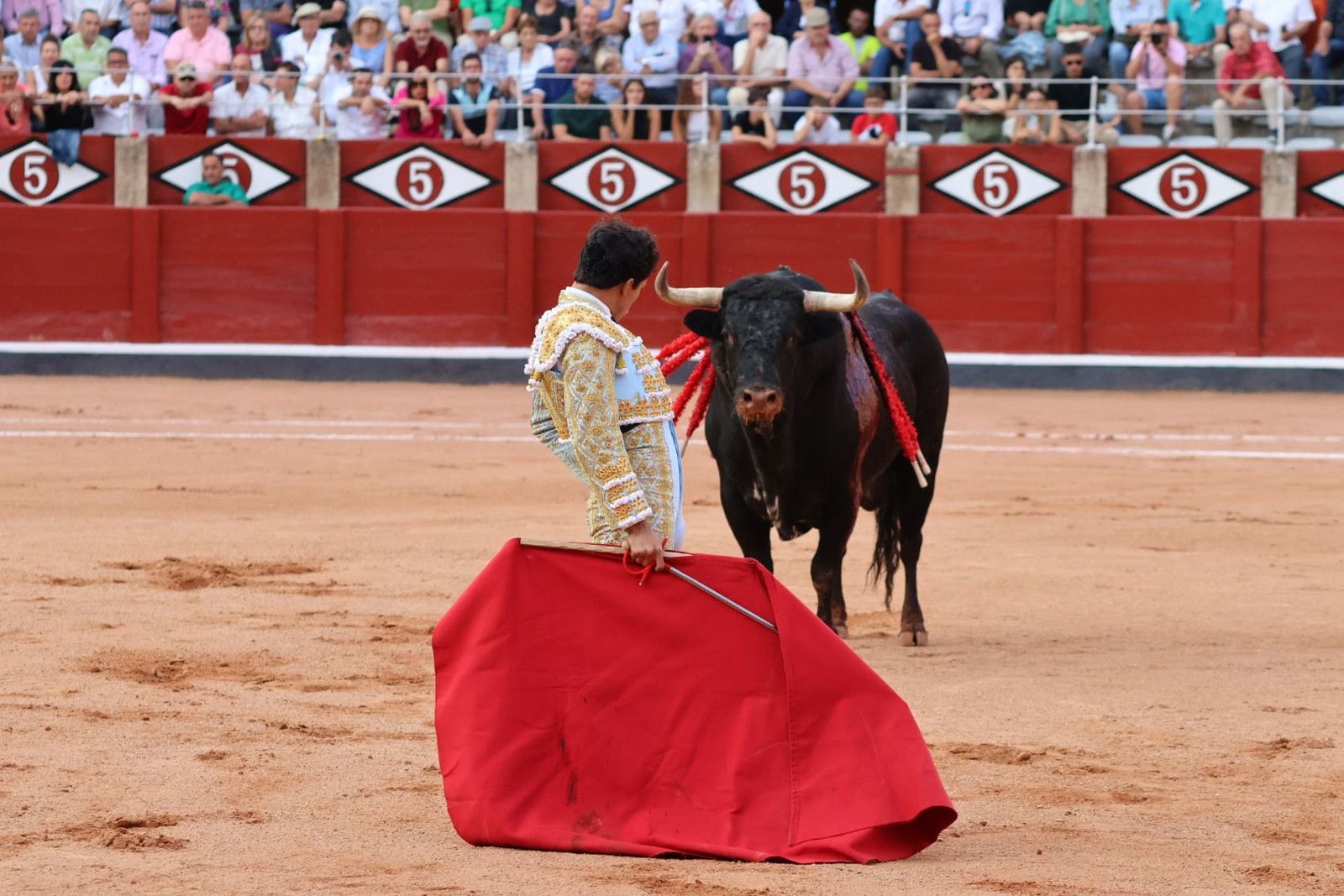 20230910185812-img-2194