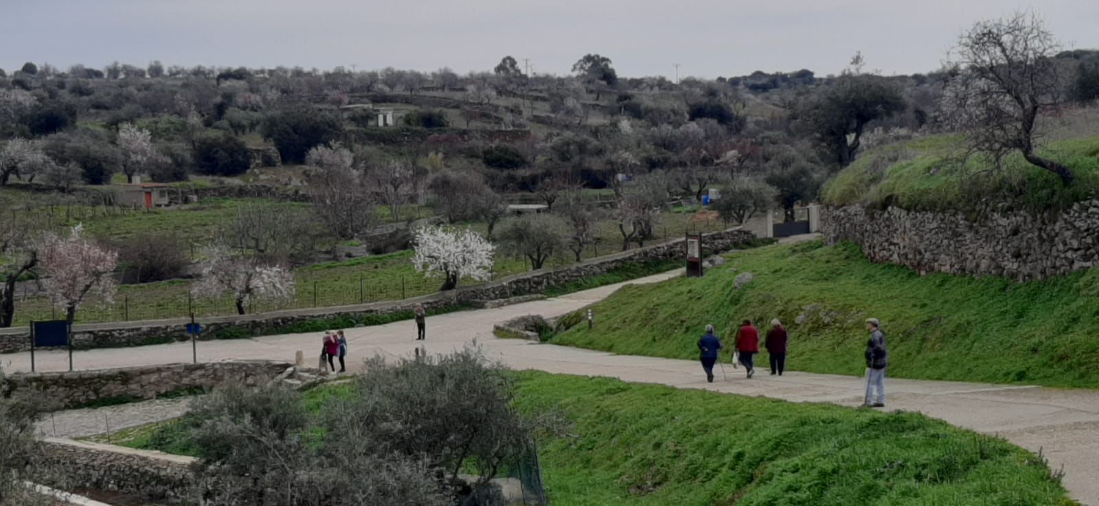 whatsapp-image-2025-02-15-at-11-10-34