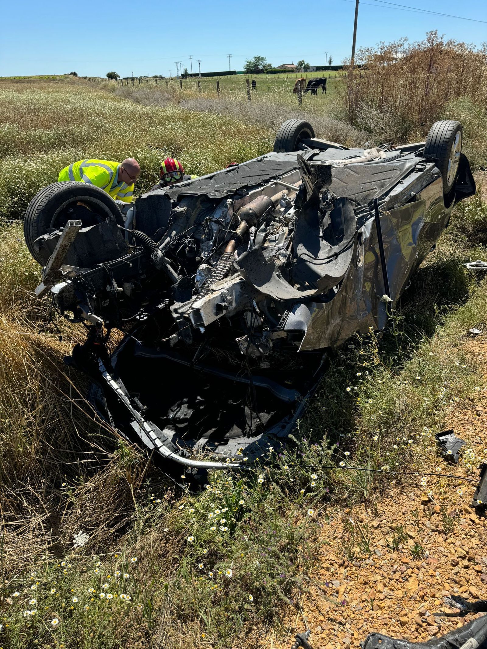 whatsapp-image-2024-07-07-at-17-56-00