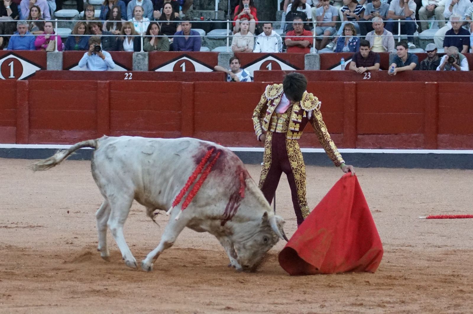 Clase práctica con alumnos de la Escuela de Tauromaquia de Salamanca (Diego Mateos, Noel García y Álvaro Rojo con erales de Esteban Isidro)