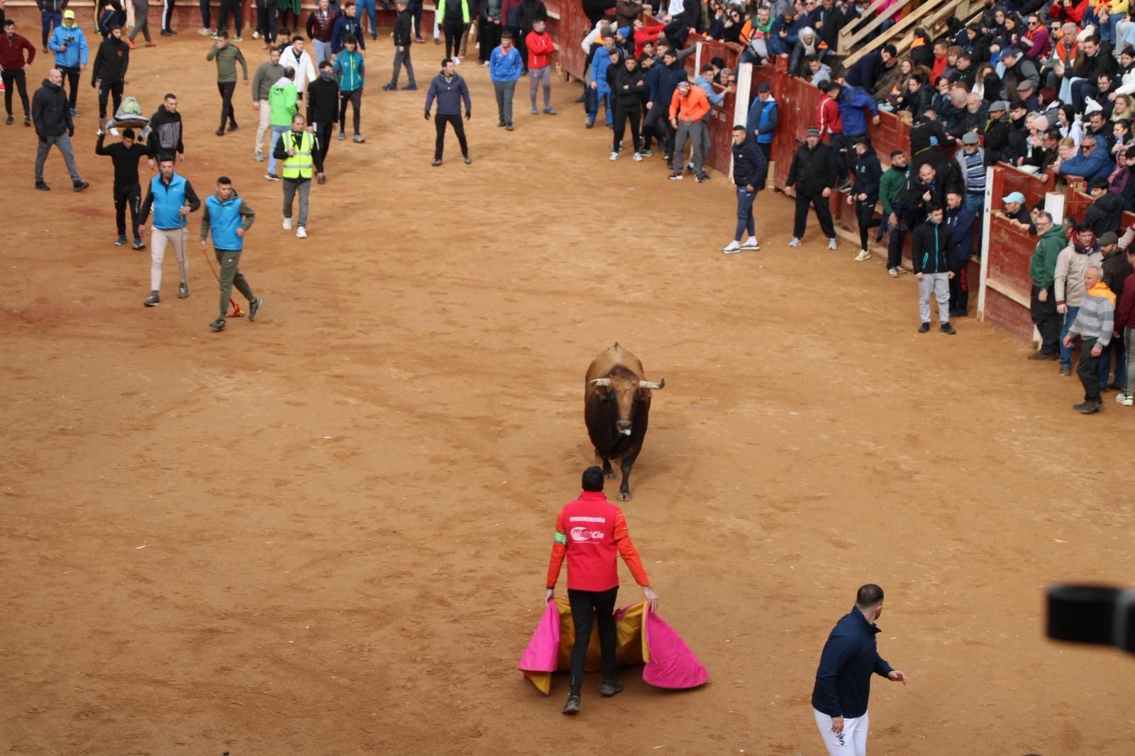 Encierro del lunes de Carnaval en Ciudad Rodrigo, toros de Fermín Bohórquez