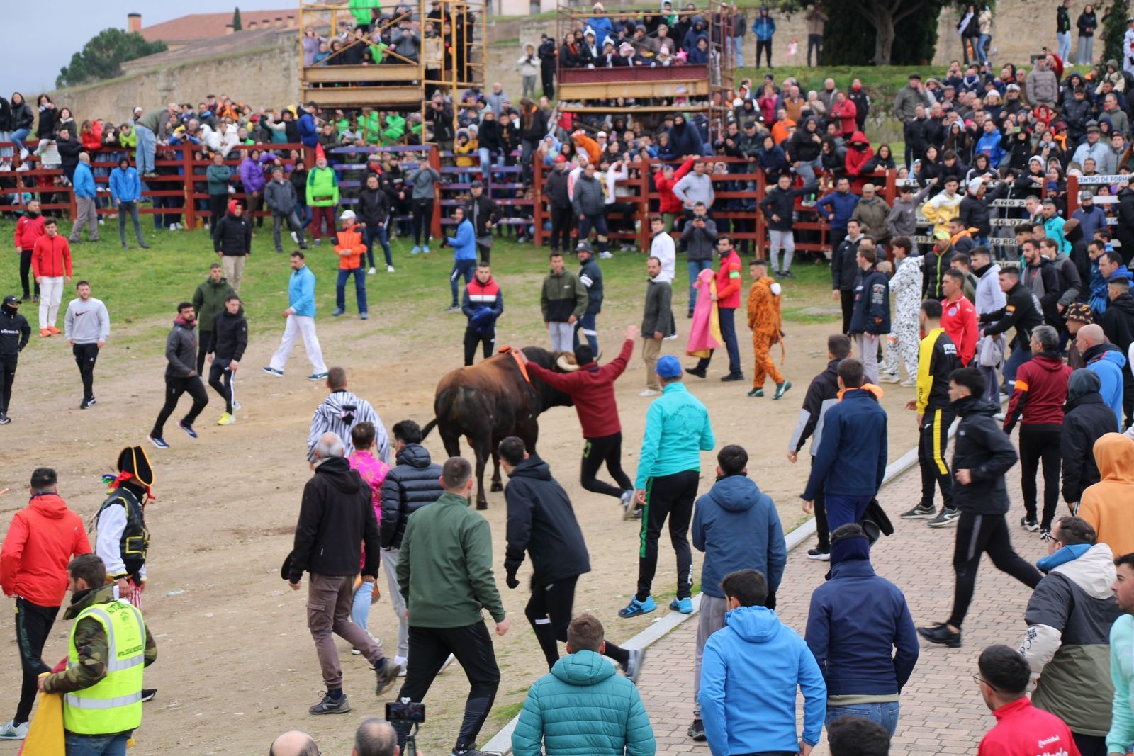 whatsapp-image-2025-03-01-at-11-56-35