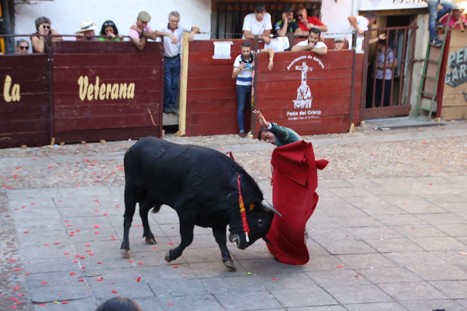 San Esteban de la Sierra, festival taurino sin picadores