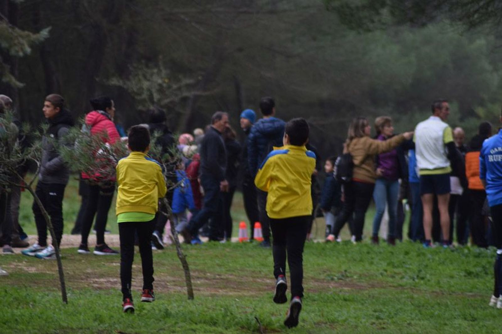 cross-de-otono-en-el-bosque-de-valorio-3