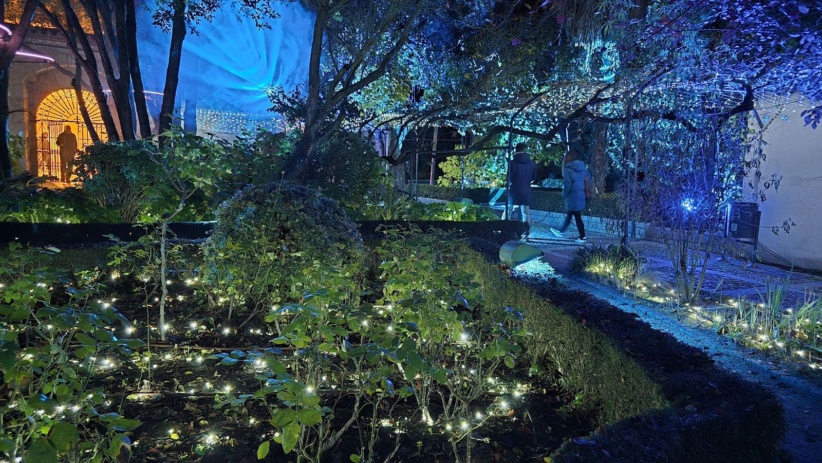 Pase para gráficos del ‘Jardín mágico del Huerto de Calixto y Melibea’