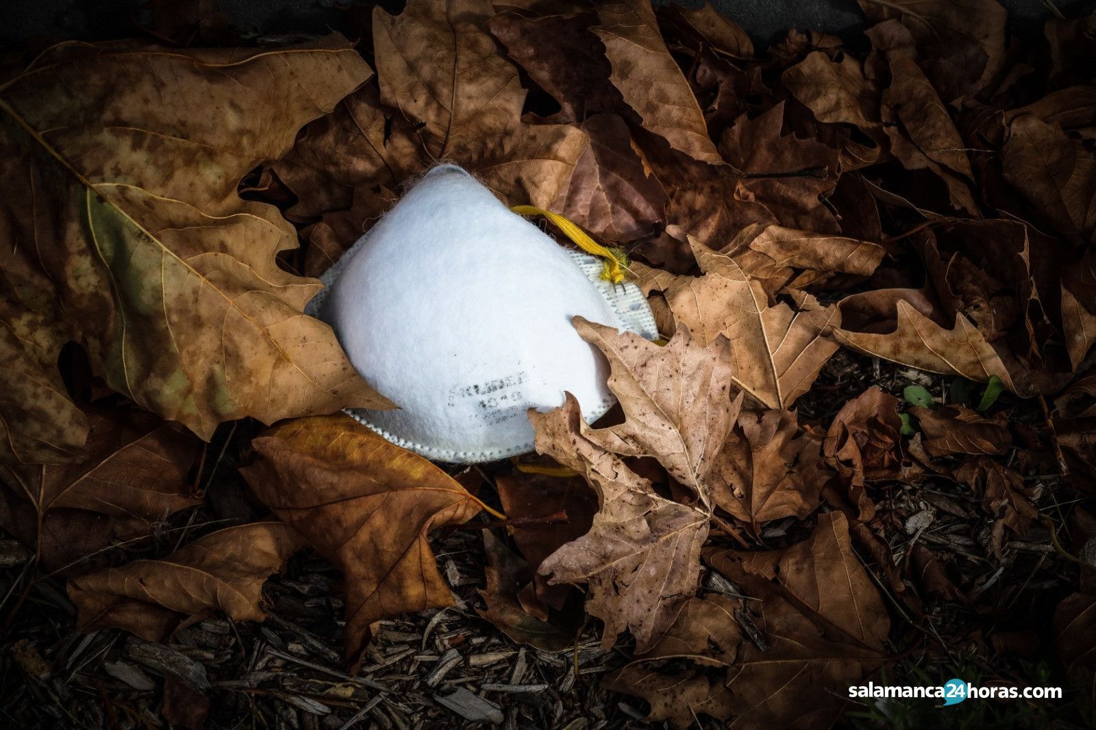 Hojas mascarilla otoño coronavirus (1)