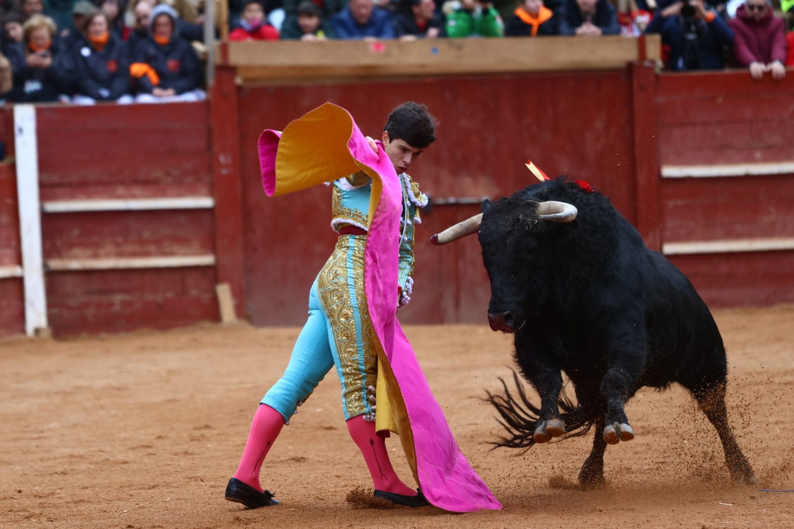 Novillada con picadores de lunes en el Carnaval del Toro de Ciudad Rodrigo 2026