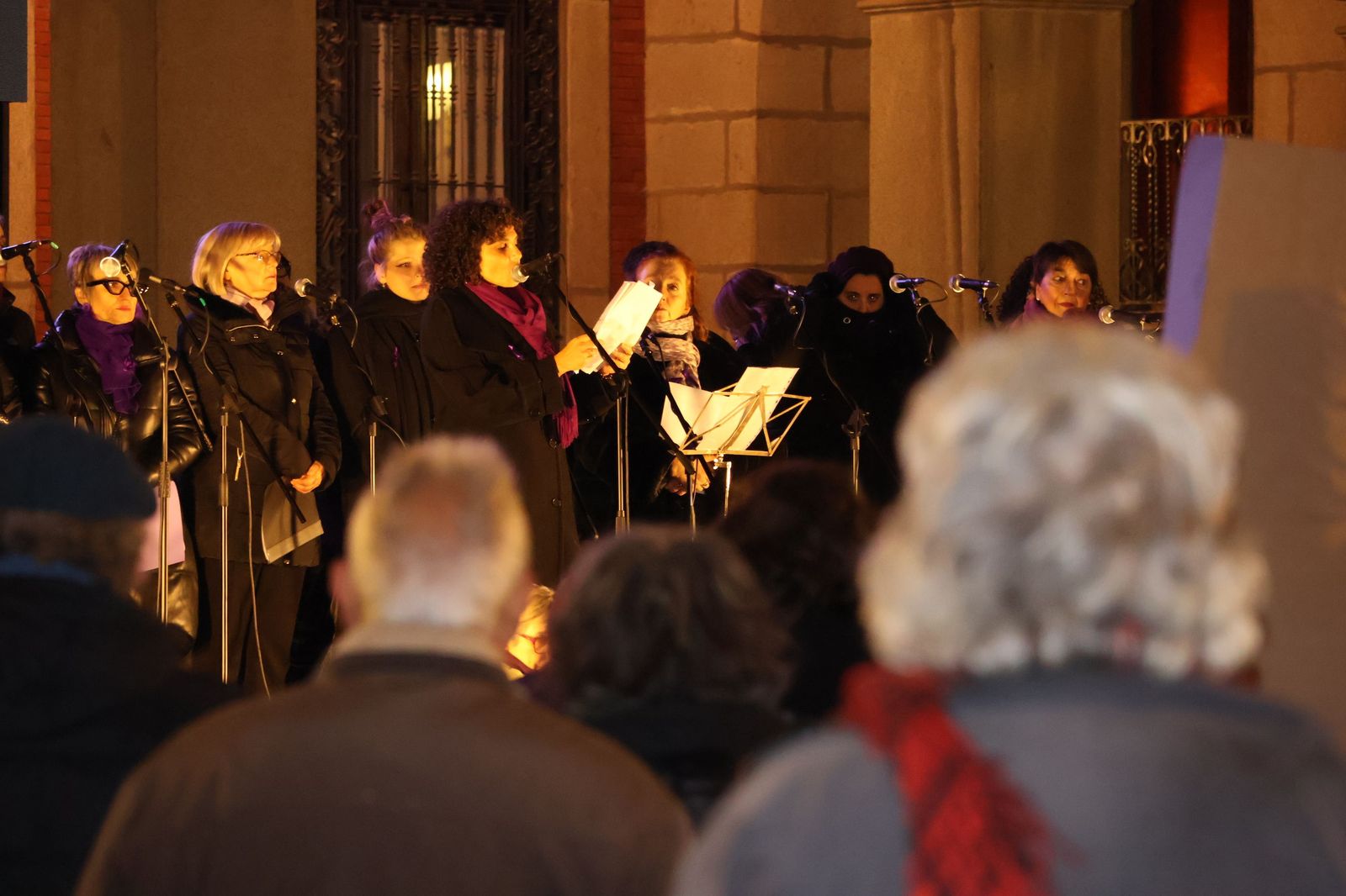GALERÍA | La movilización en Zamora para reclamar el fin de la violencia machista en imágenes